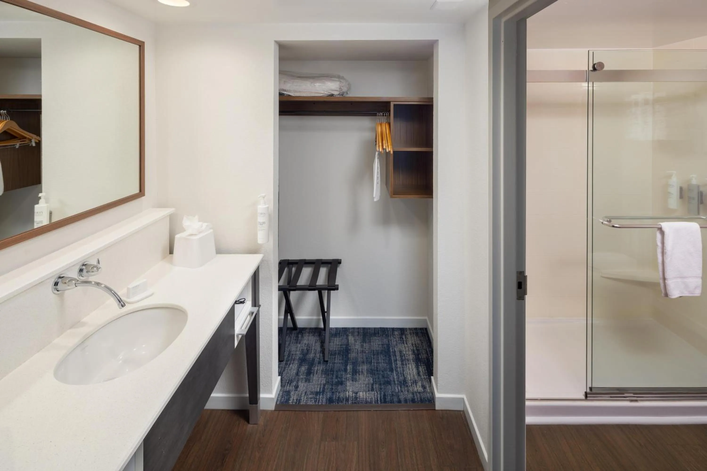 Bathroom, Bed in Hampton Inn and Suites Asheville Airport