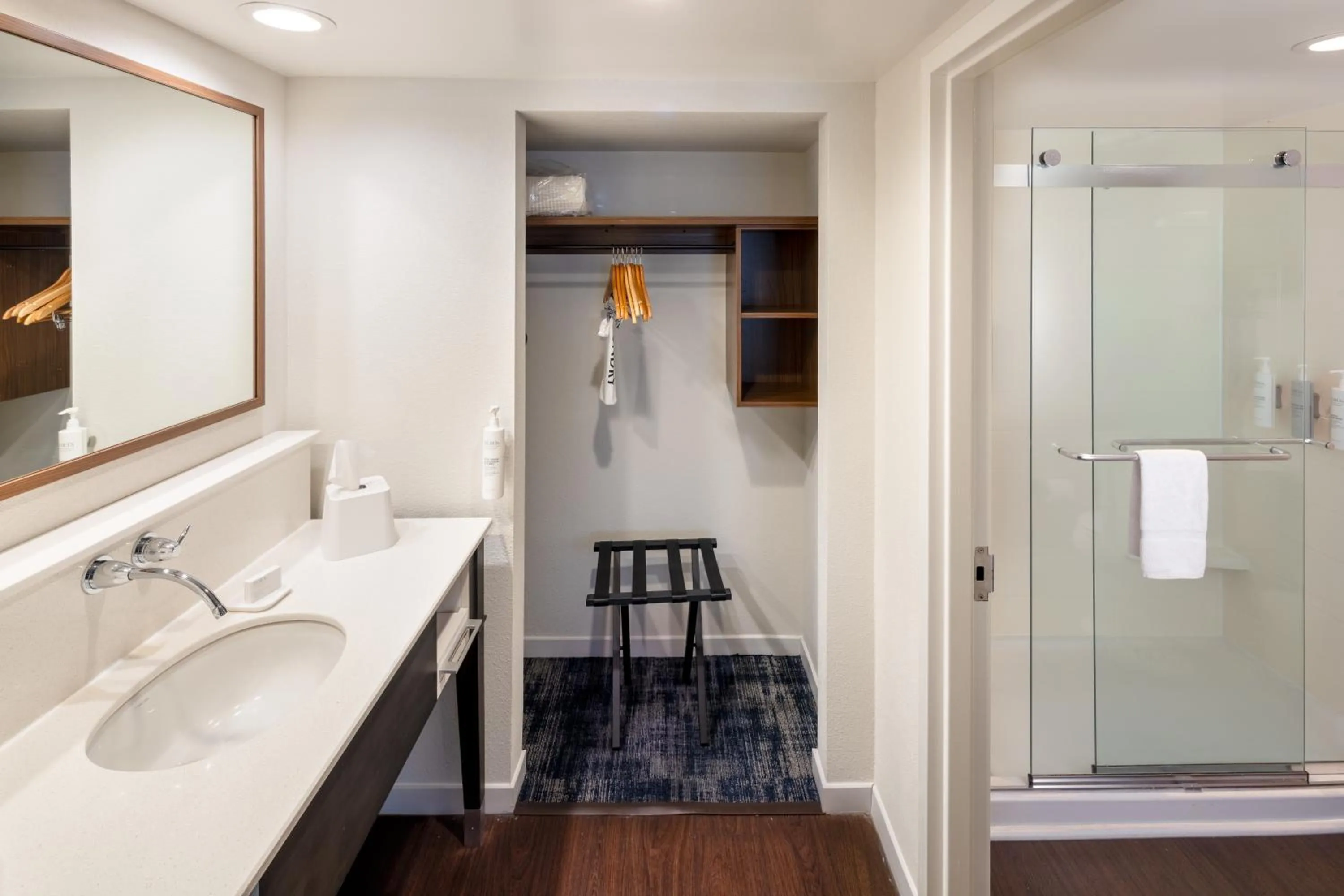 Bathroom in Hampton Inn and Suites Asheville Airport