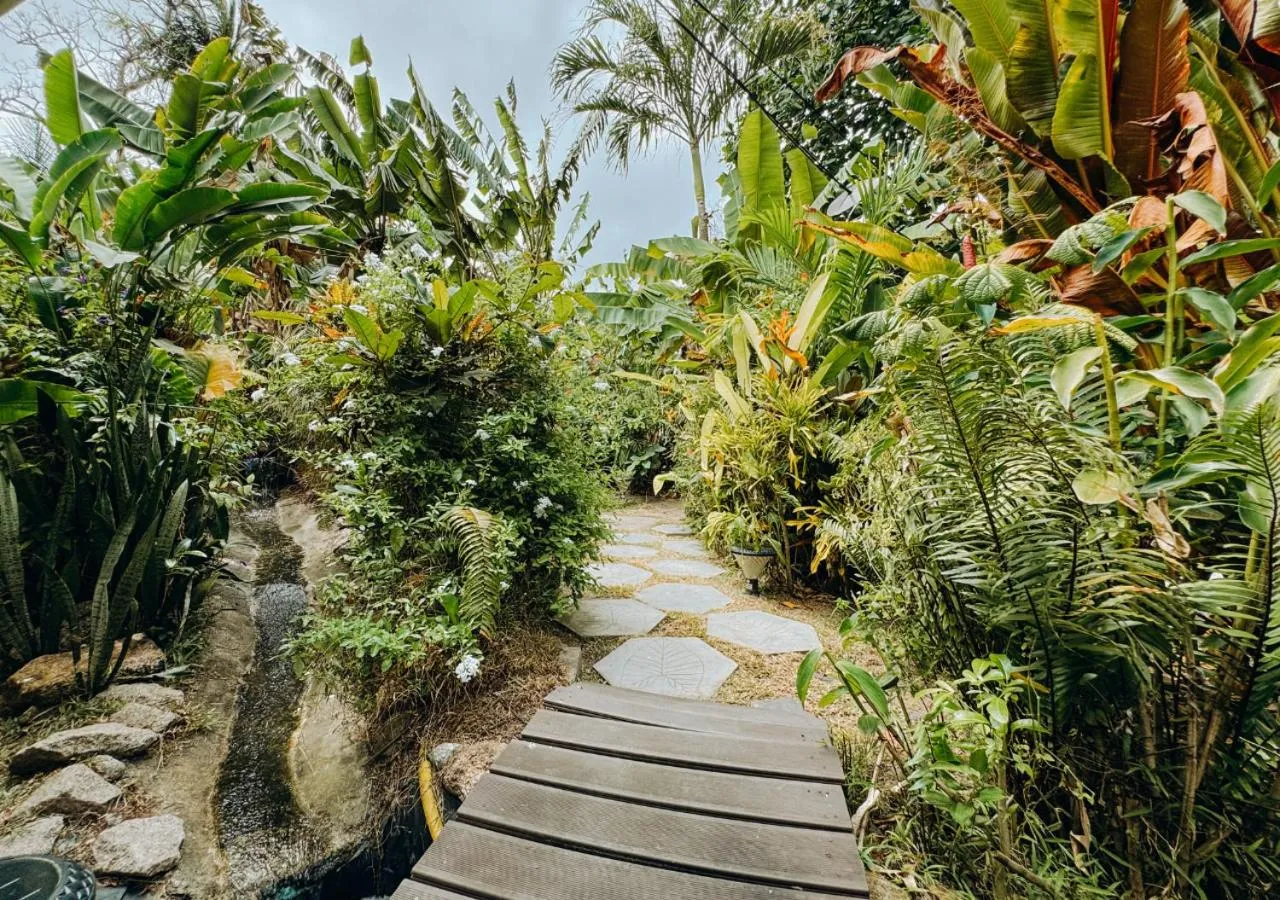Garden in Buisson Guesthouse