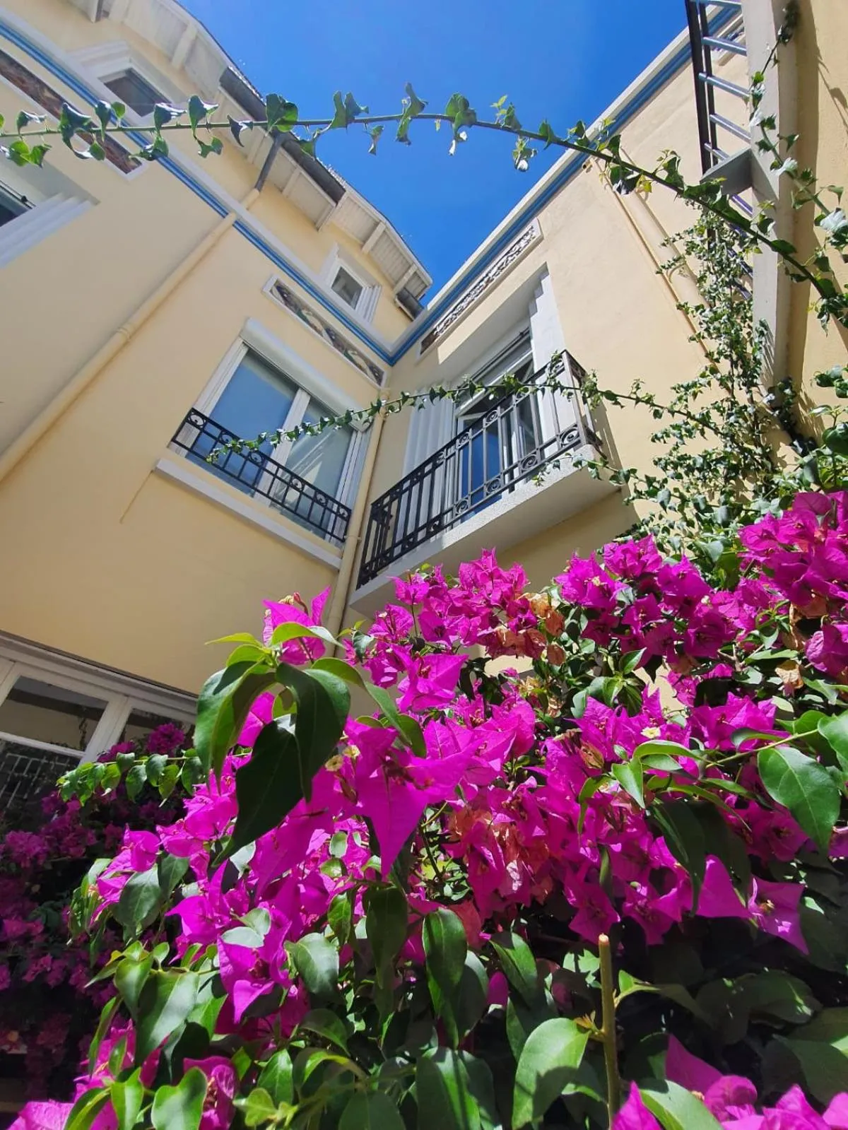 Garden in B&B Le Patio En Ville - Chambres d'hôtes