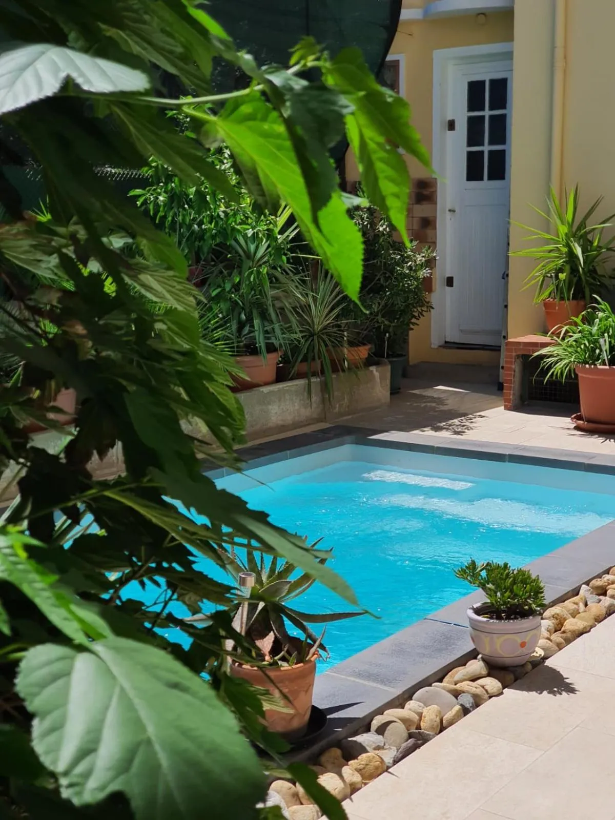 Garden view in B&B Le Patio En Ville - Chambres d'hôtes