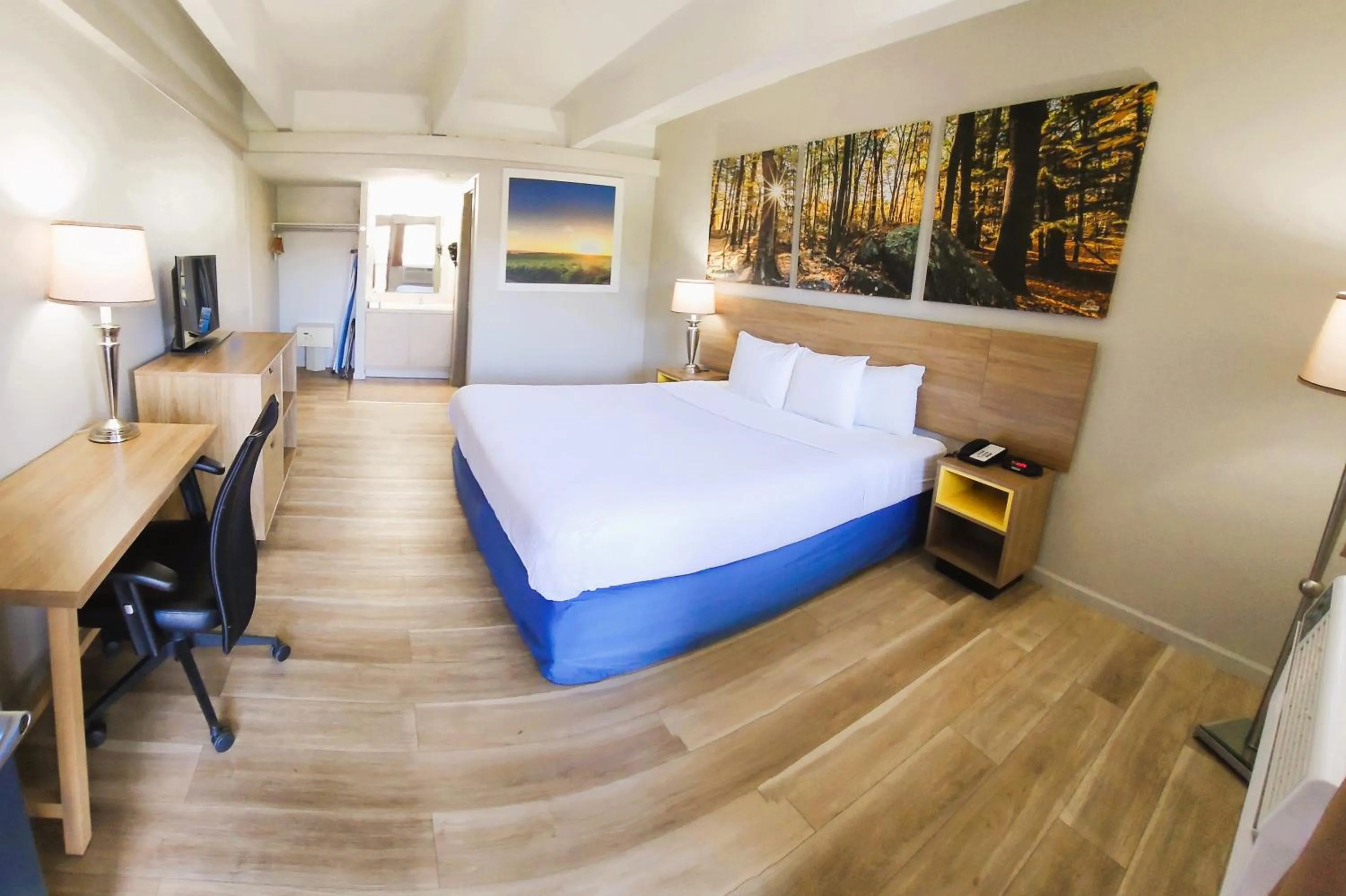 Bed in Days Inn by Wyndham Denver Downtown