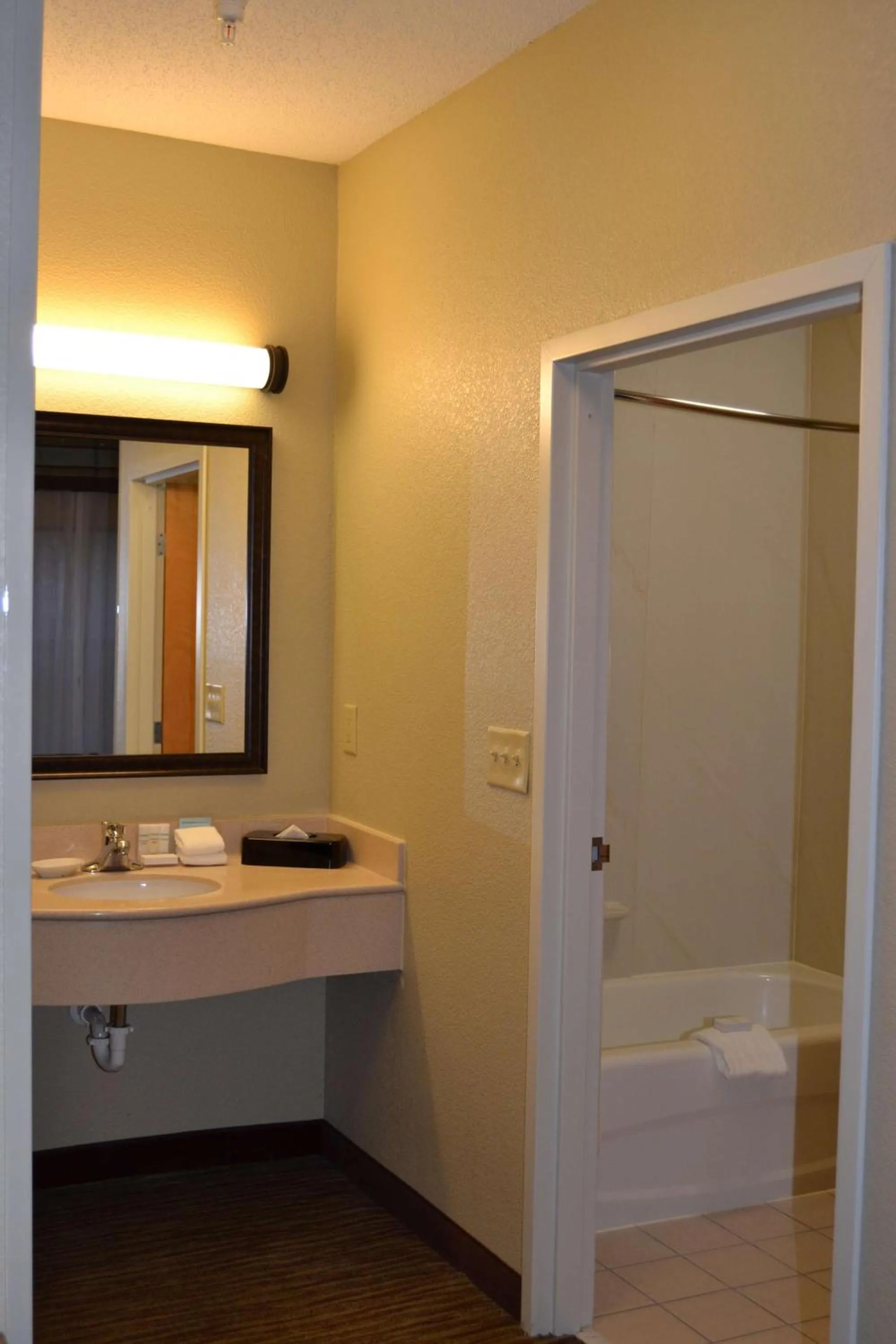 Bathroom in Hampton Inn & Suites Kalamazoo-Oshtemo