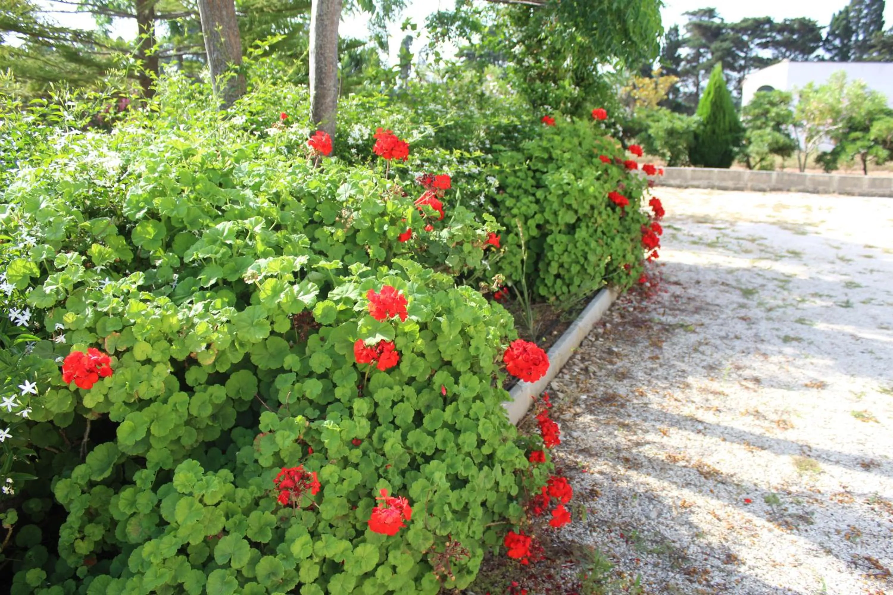 La Lanterna delle Fate