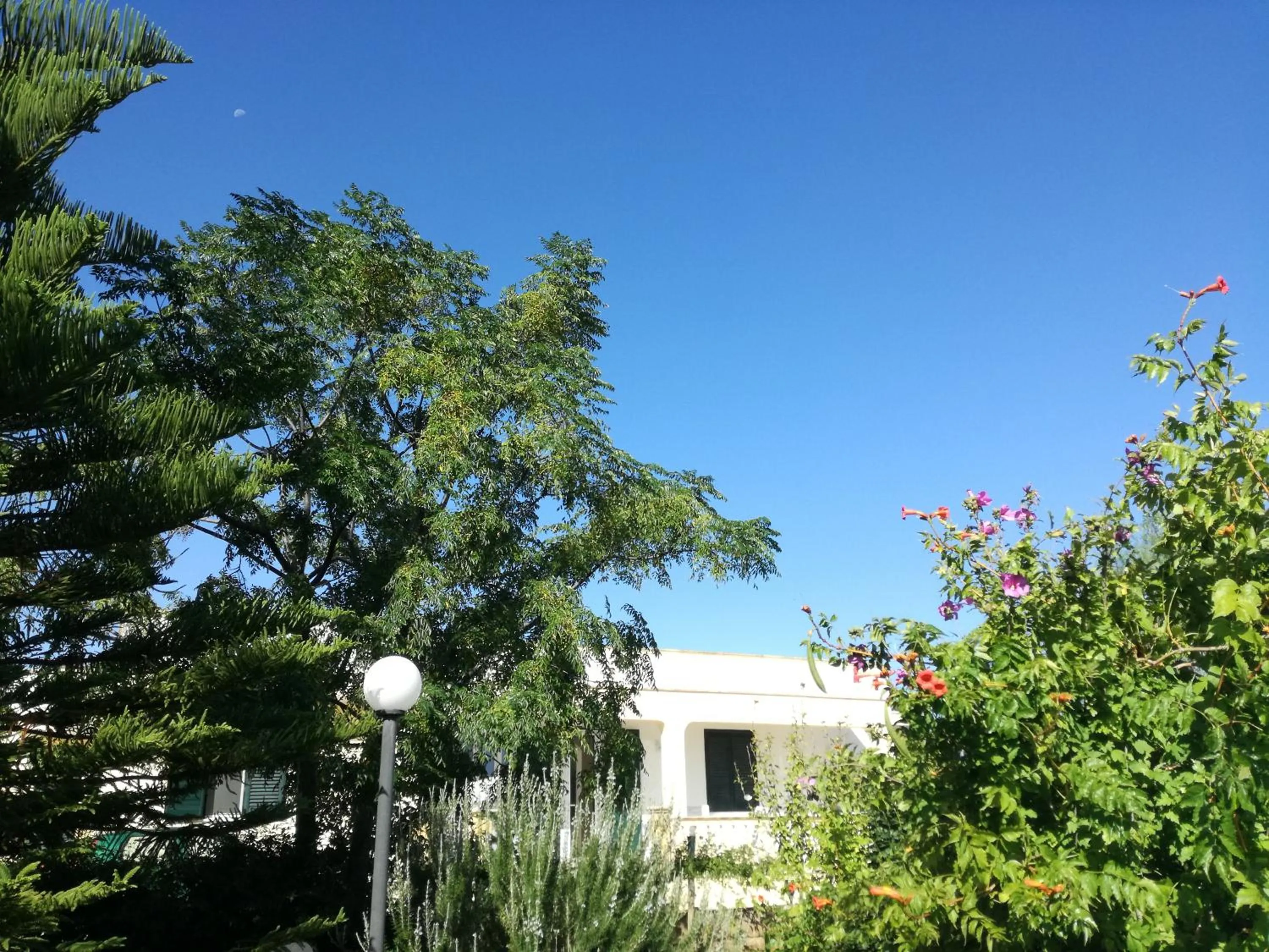 La Lanterna delle Fate