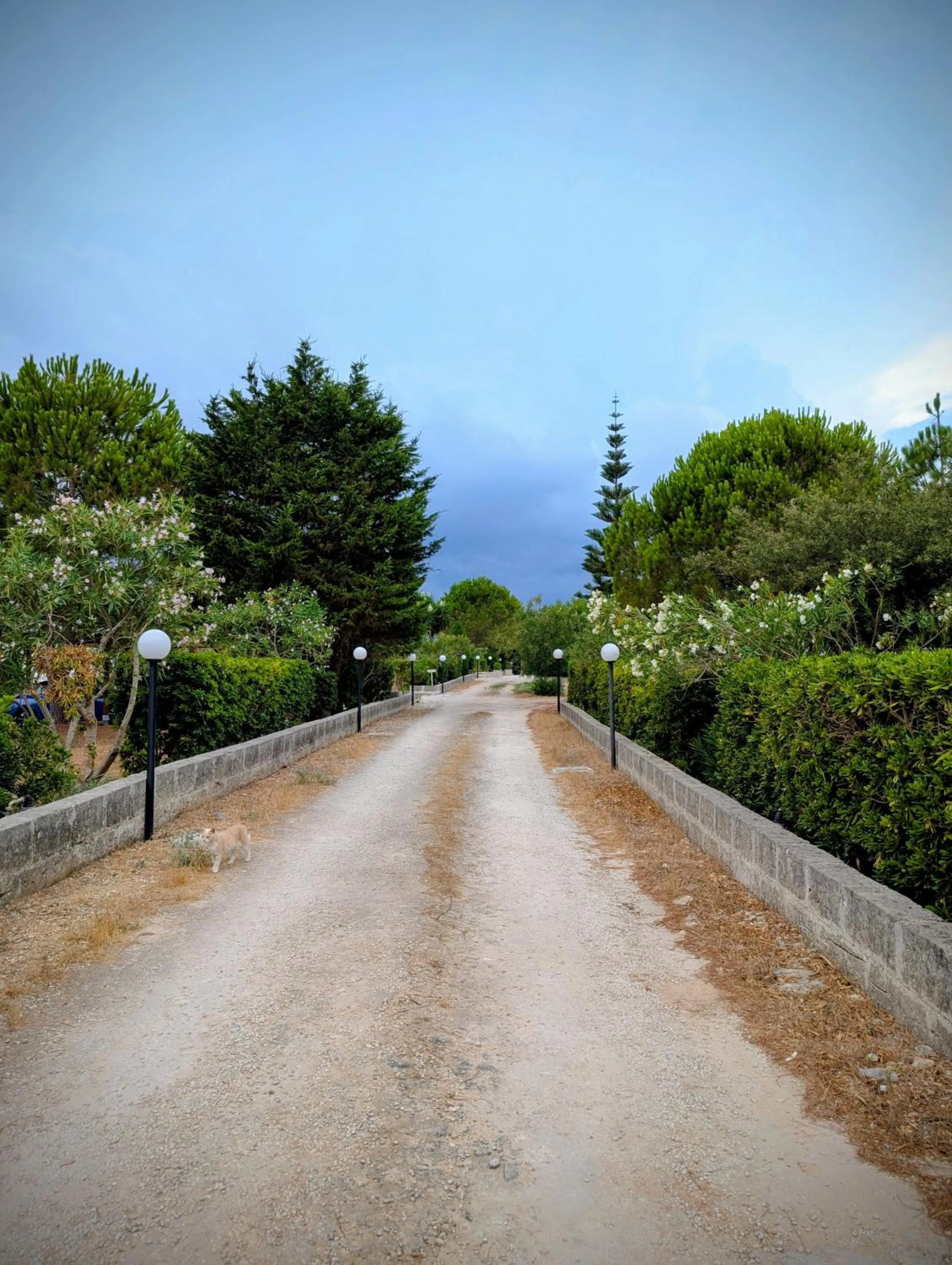 La Lanterna delle Fate