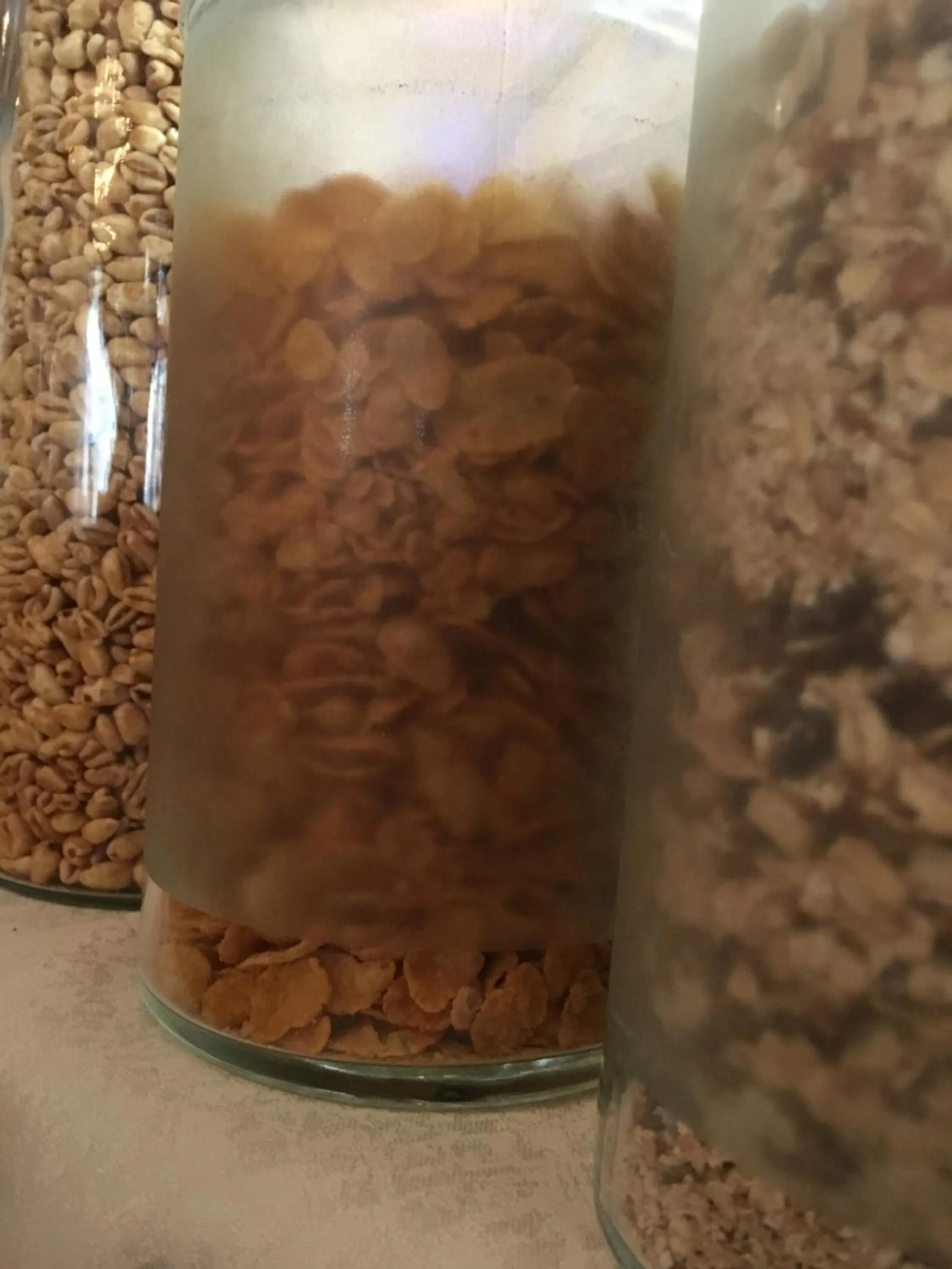 Food close-up in Gasthof zur Sonne Winzenhohl