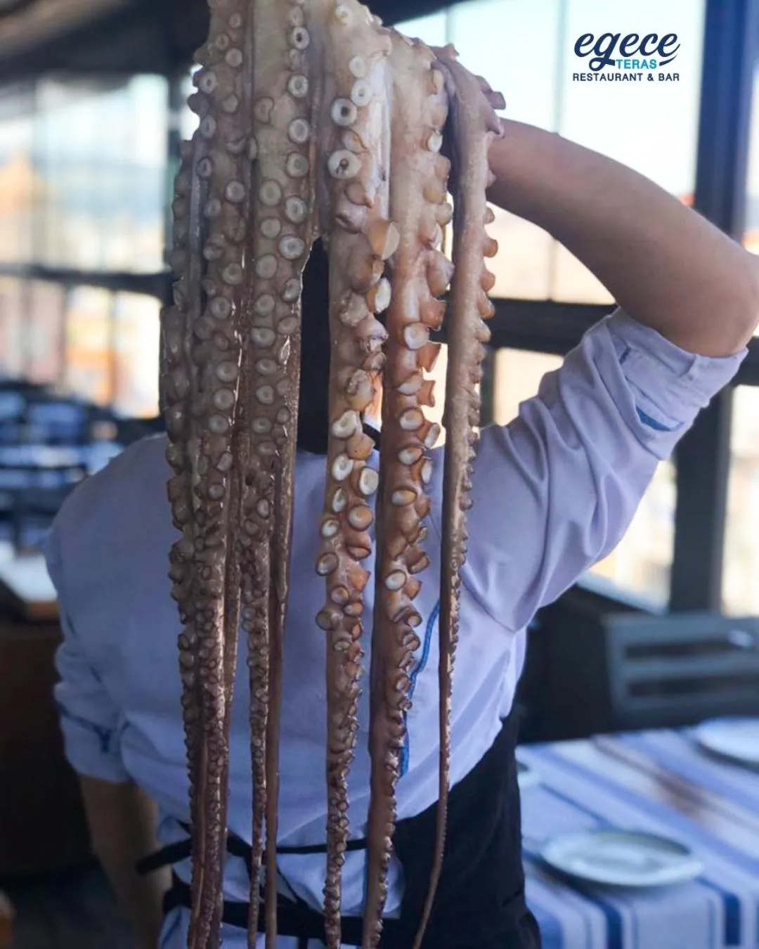 Restaurant/places to eat in Kule Hotel