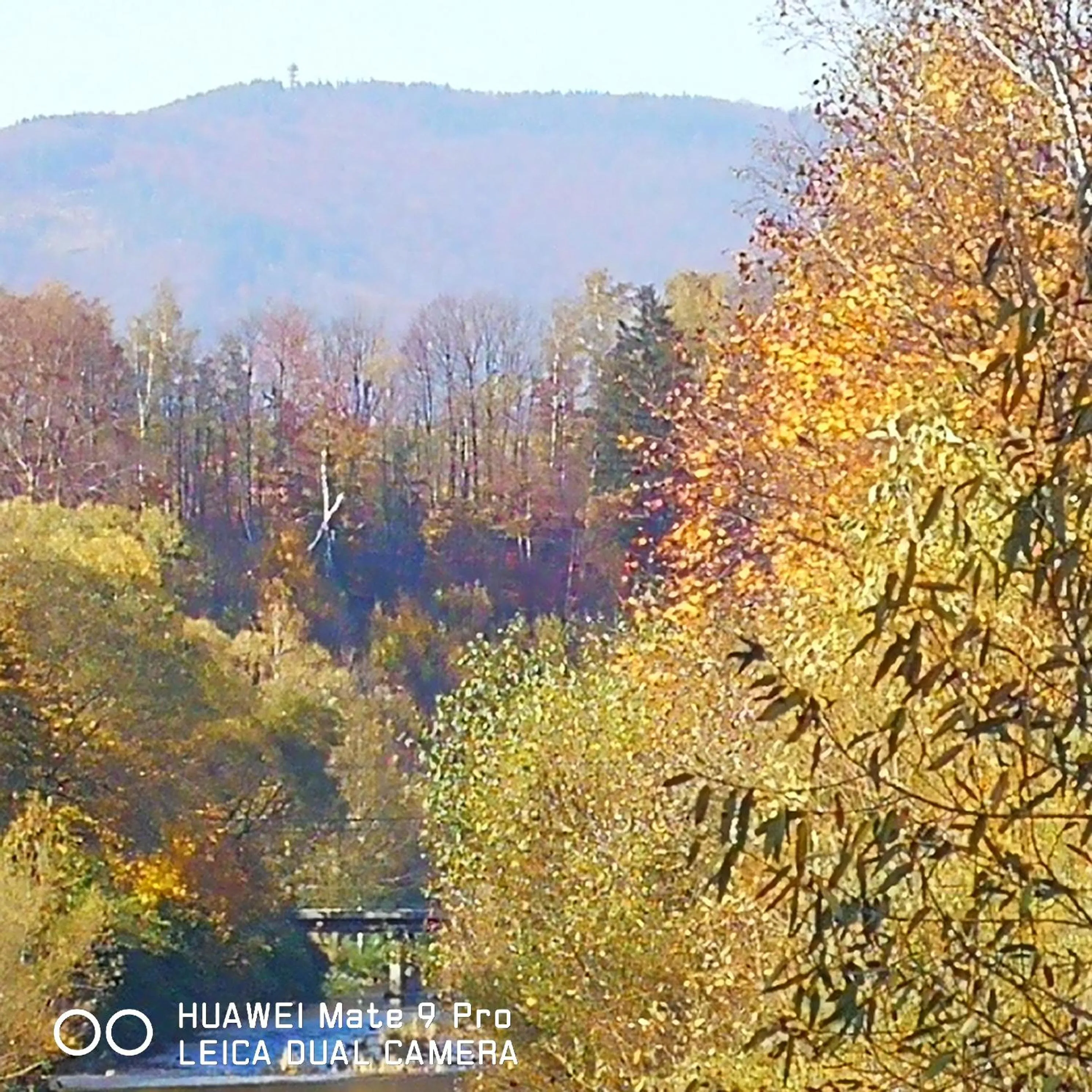 Neighbourhood in Wisła Mountain SPA