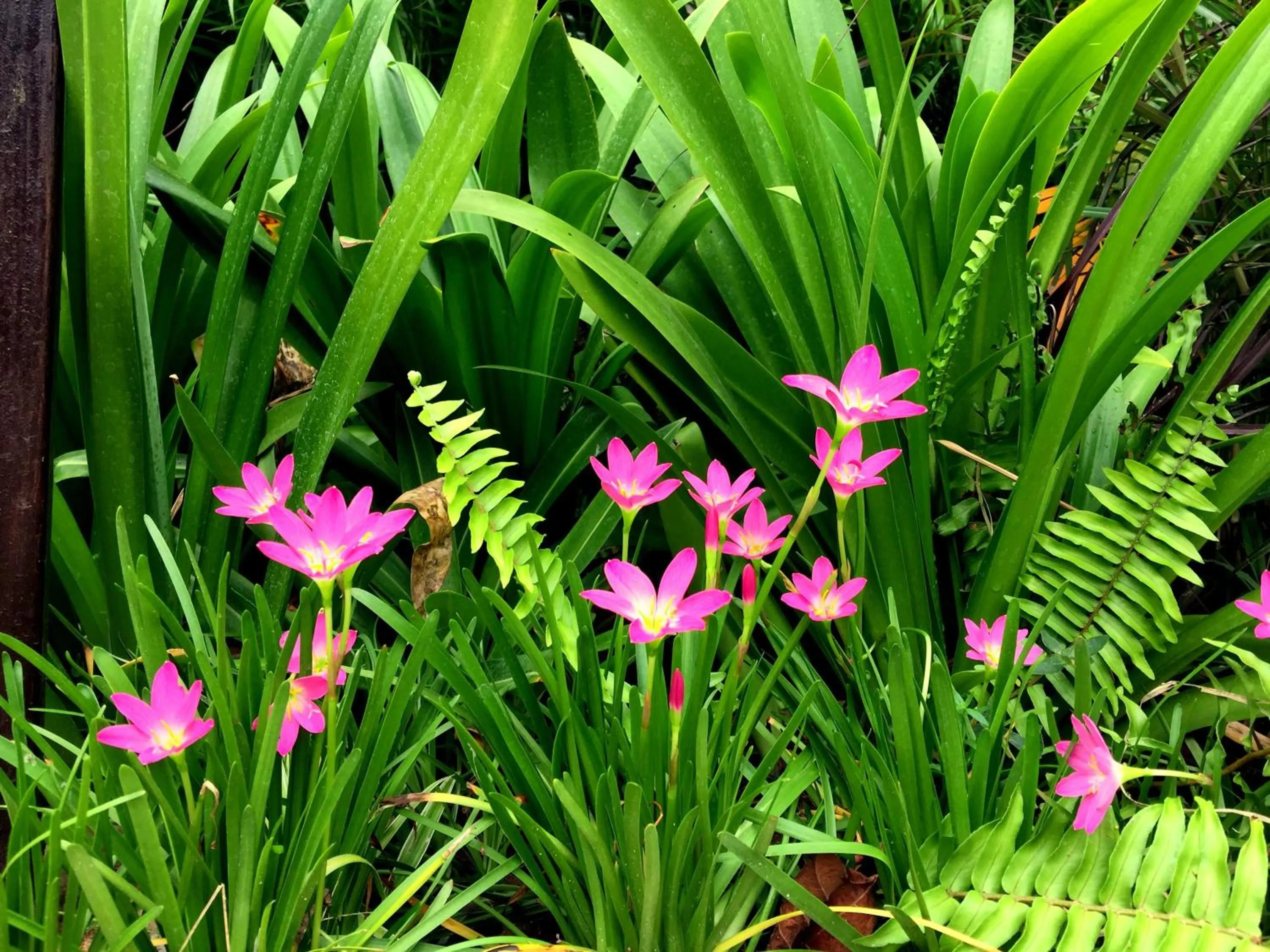 Property building in Hotel Villa Highnest - Oragadam -Sriperumbudur