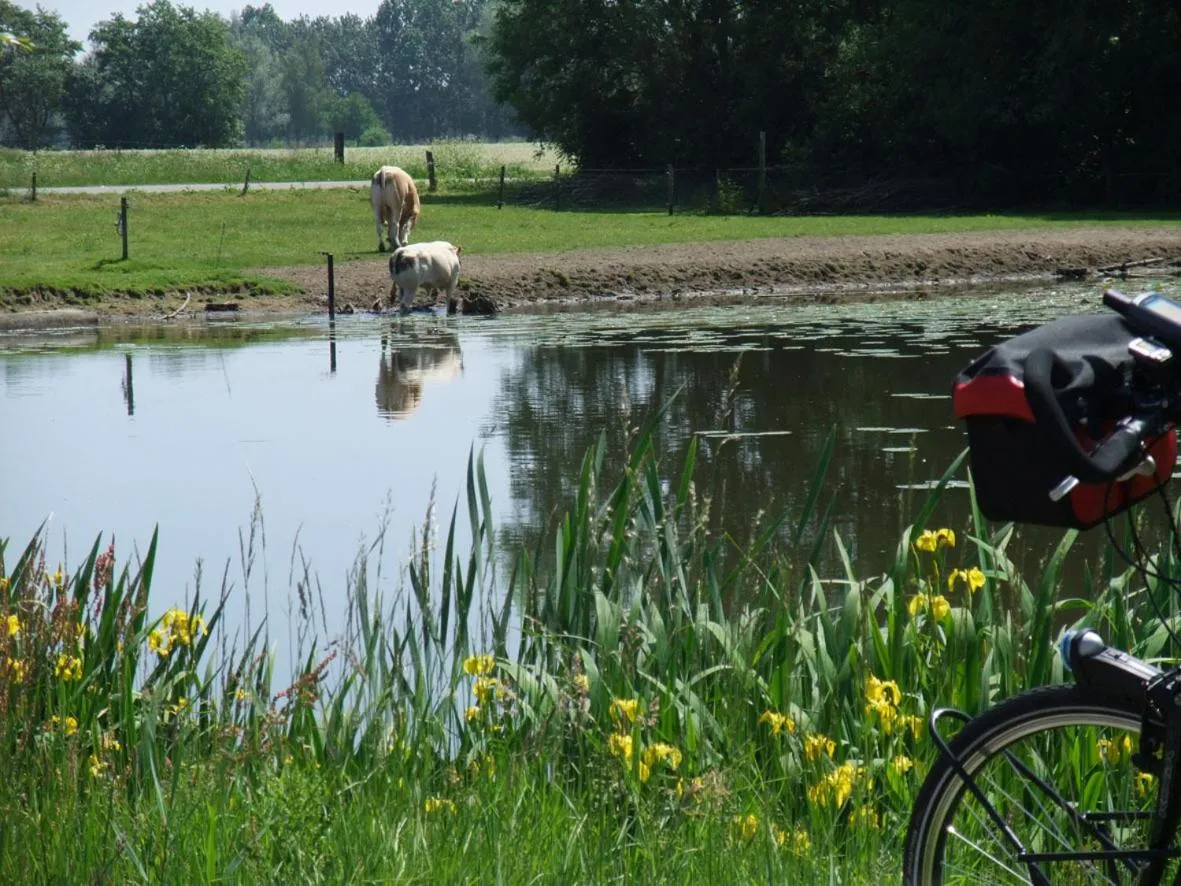 Area and facilities in Hotel Chalet