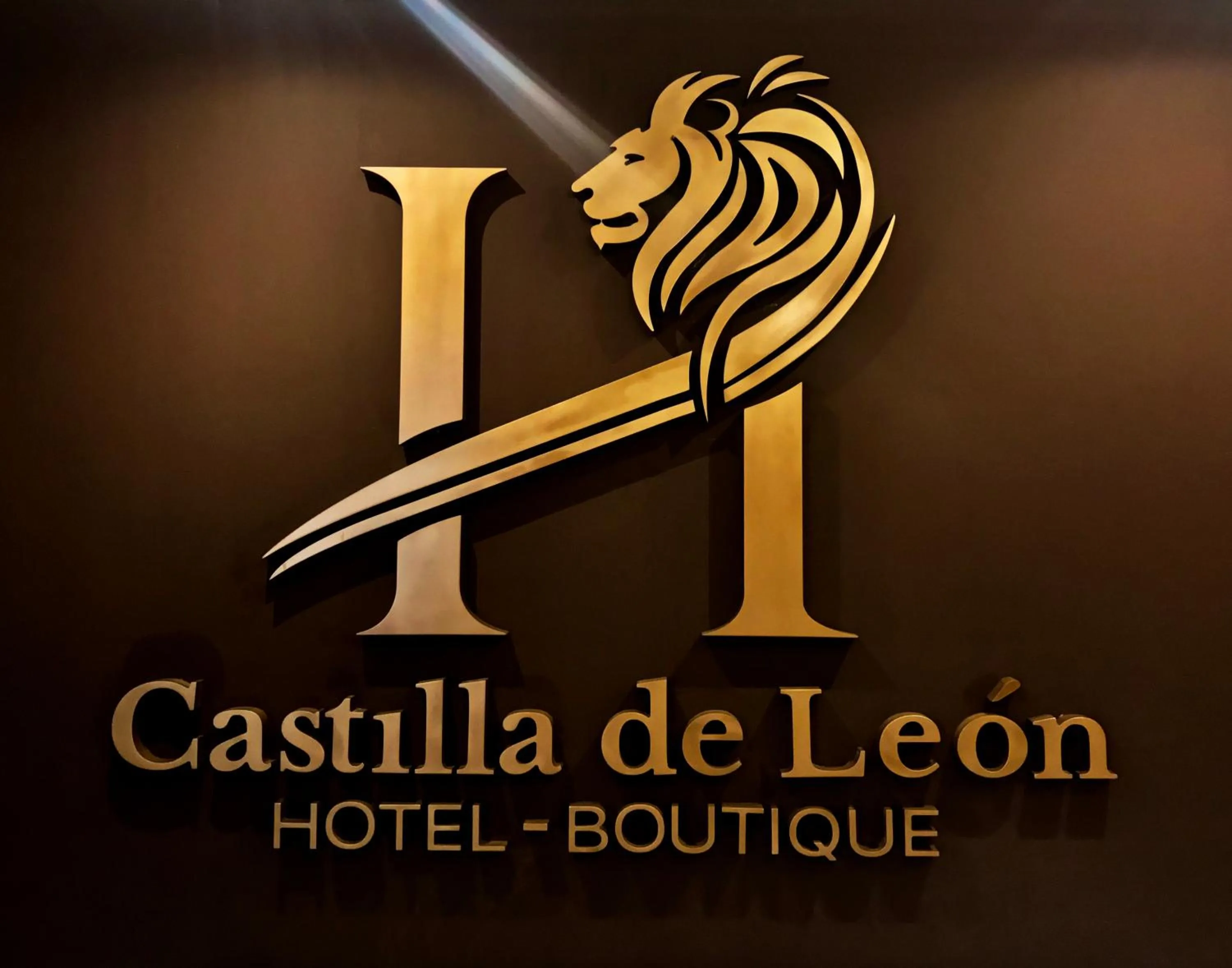 Hotel Boutique Castilla de Leòn