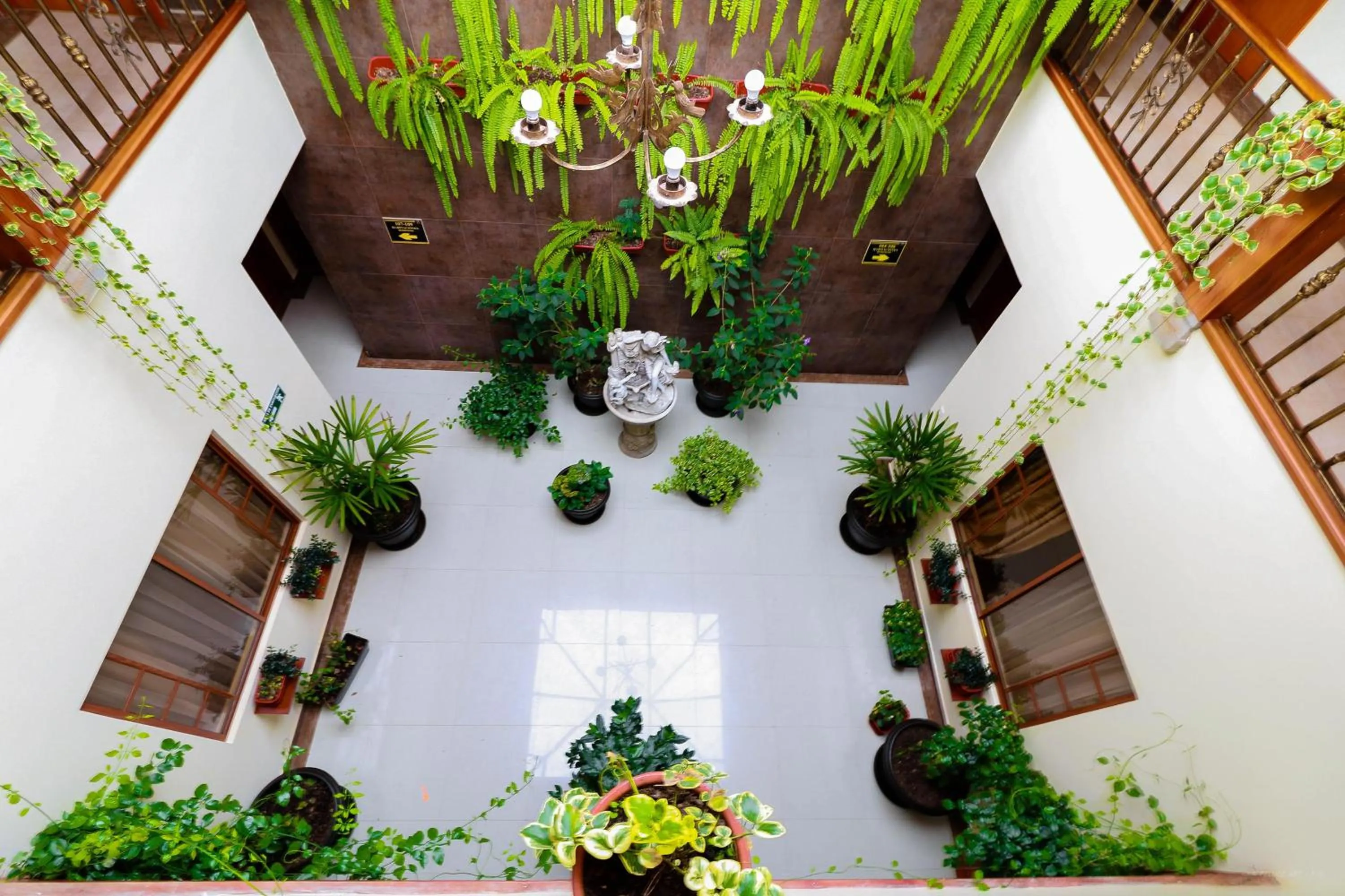 Garden in Hotel Boutique Castilla de Leòn