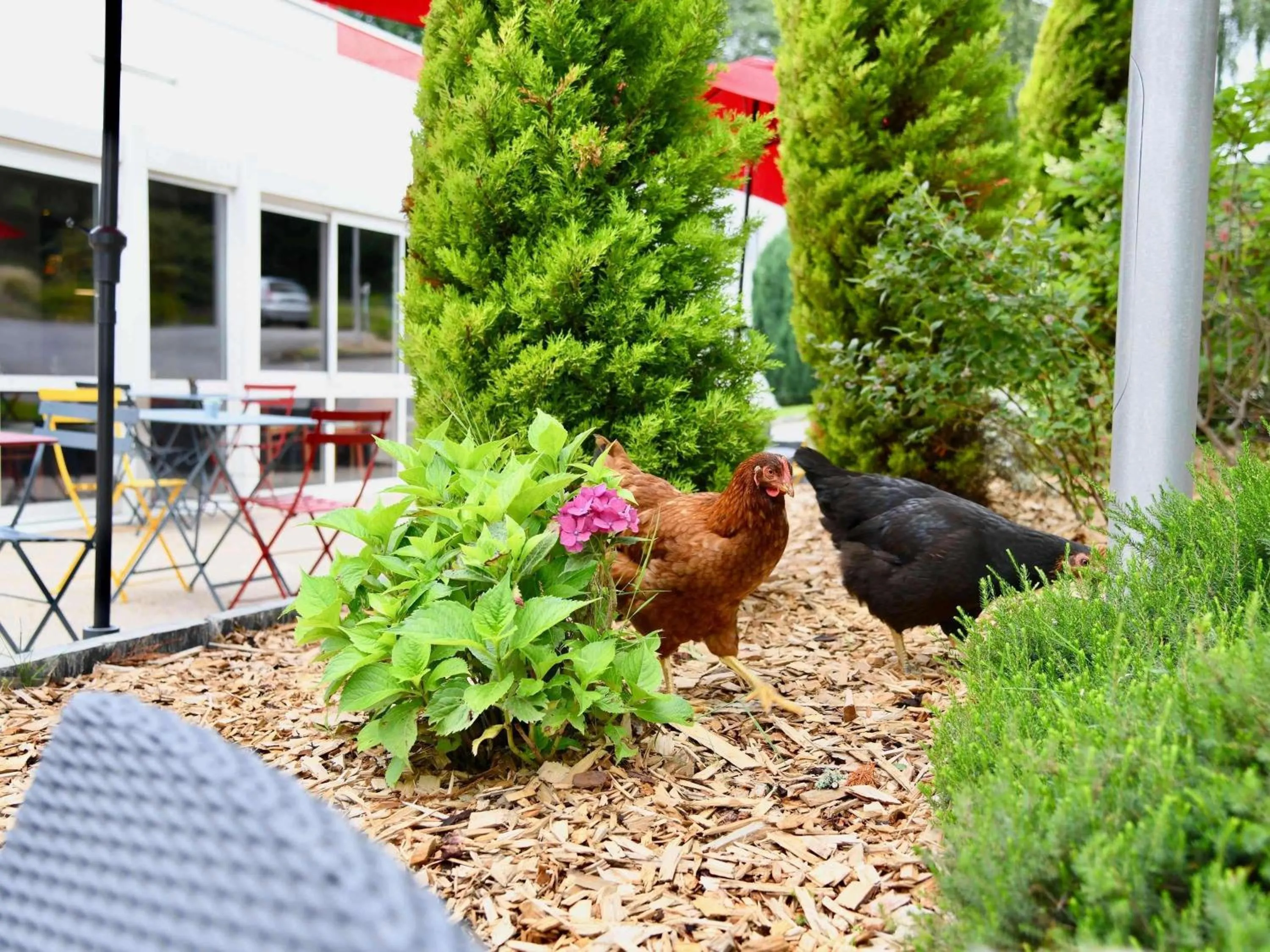 Other in ibis Quimper