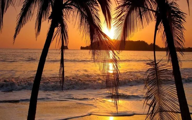 Beach in Hotel La Gaviota Tropical