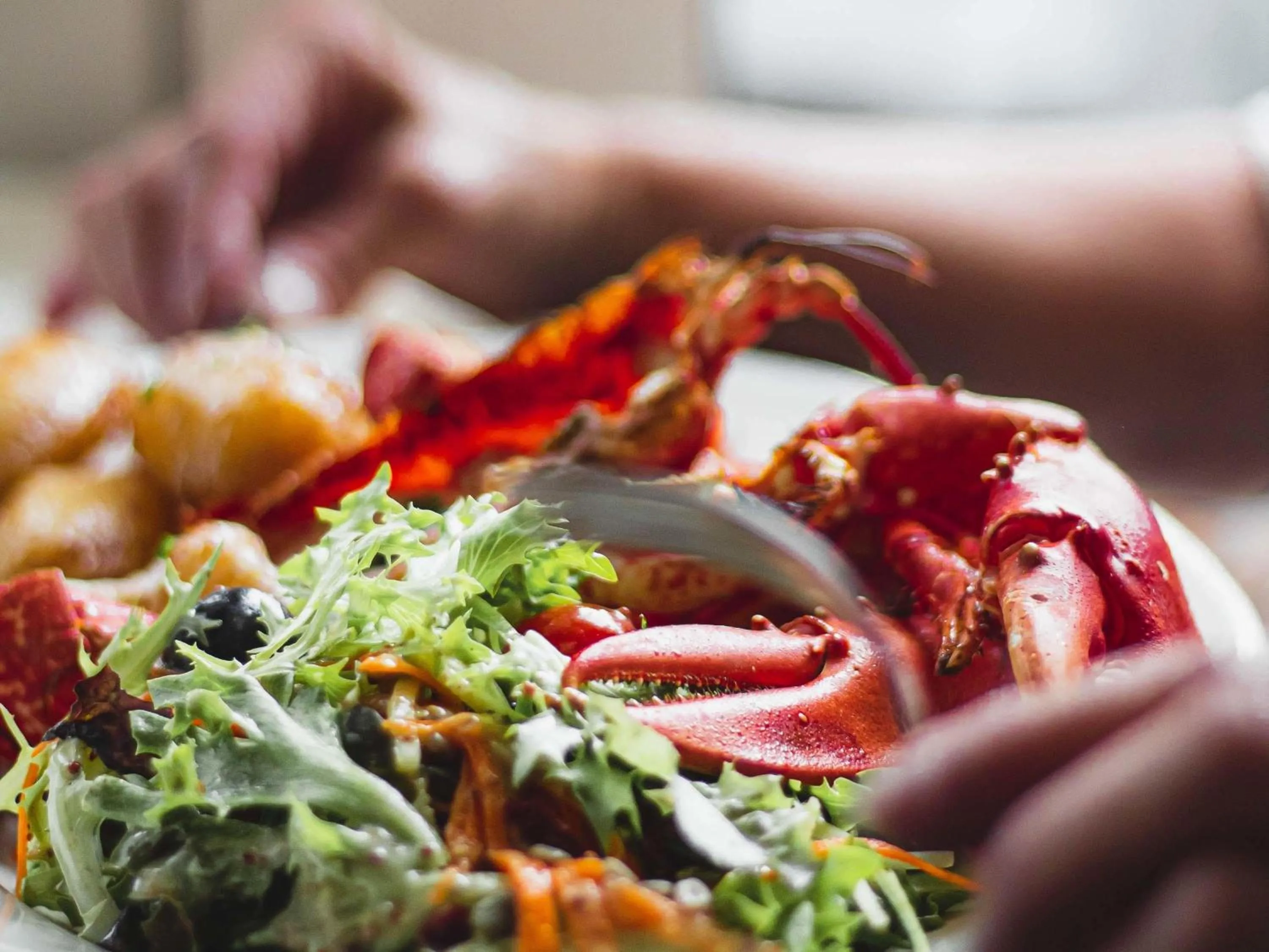 Restaurant/places to eat in ibis Nantes Saint Herblain