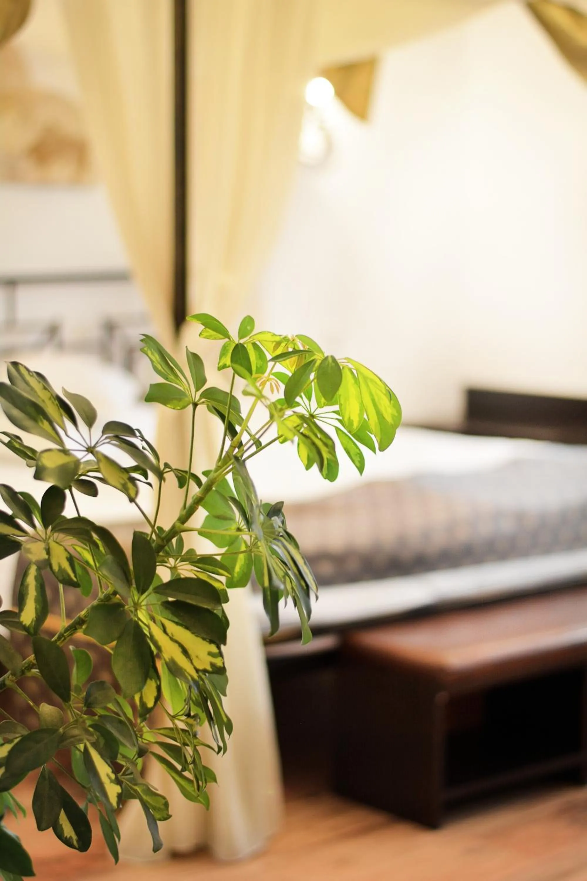 Decorative detail, Bed in Hanul Fullton