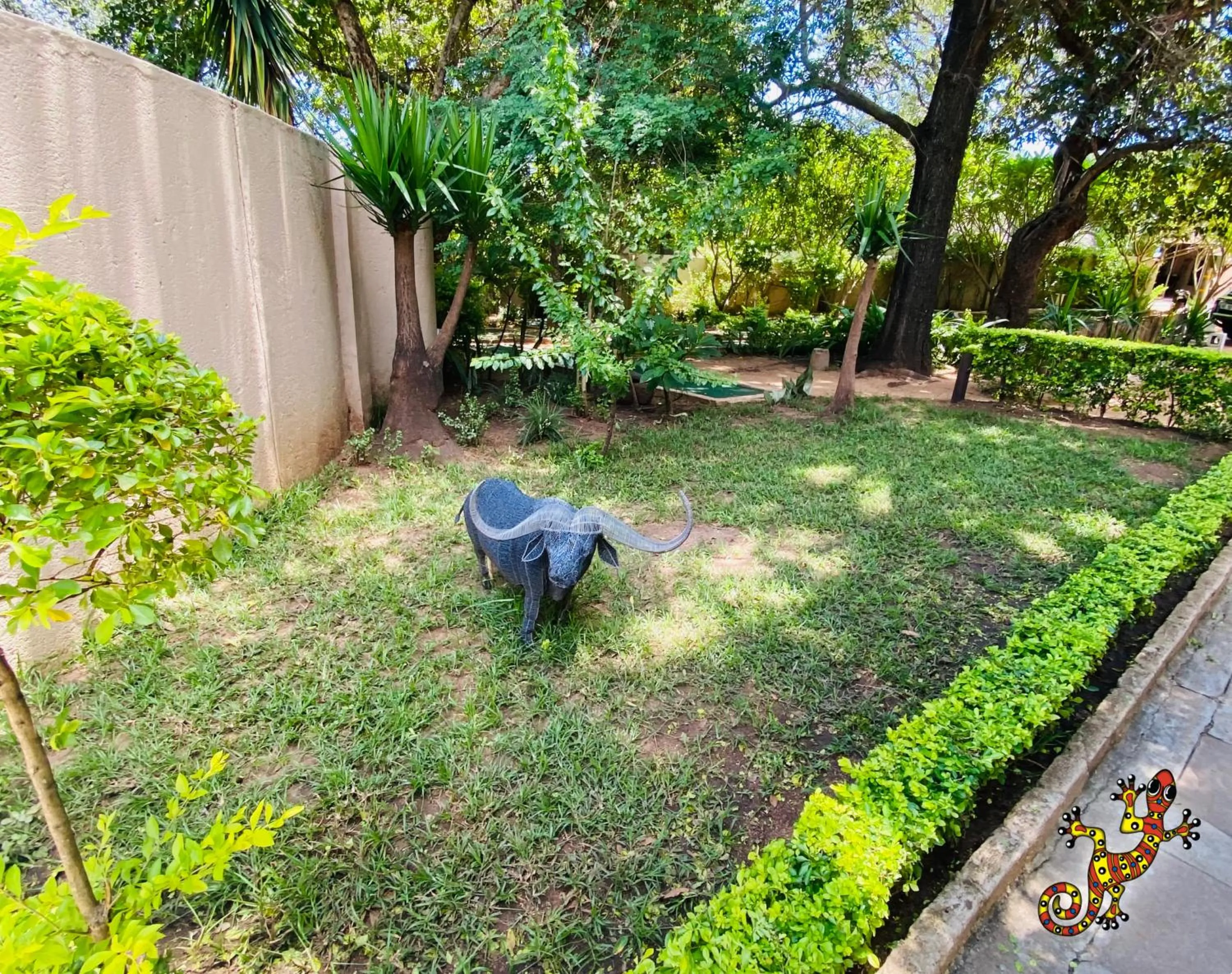 Garden in Sabie River Bush Lodge