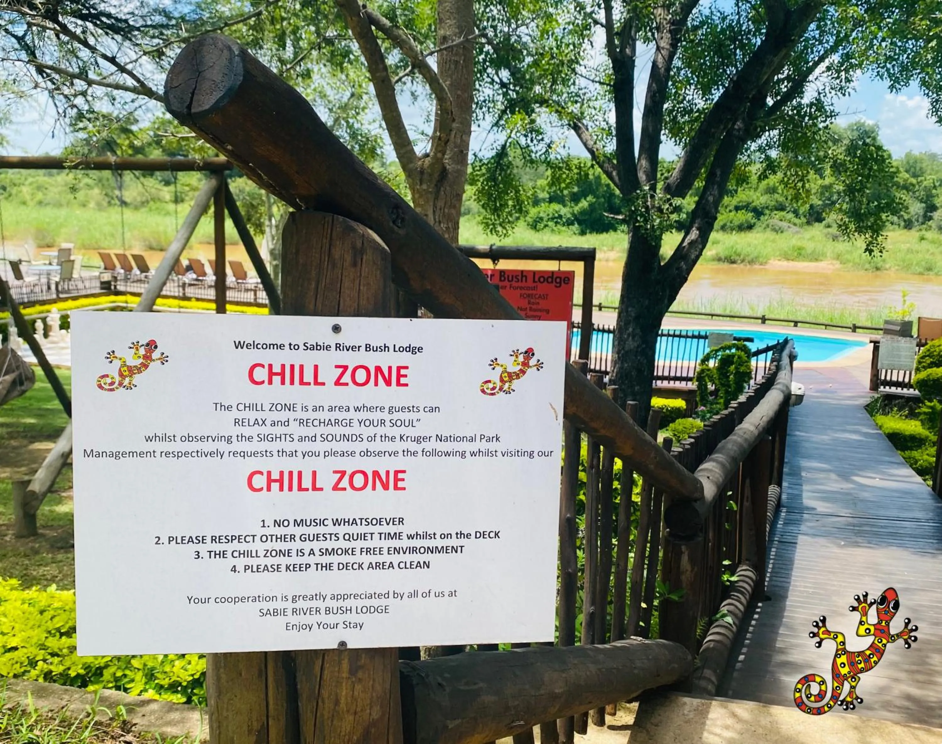 Pool view in Sabie River Bush Lodge