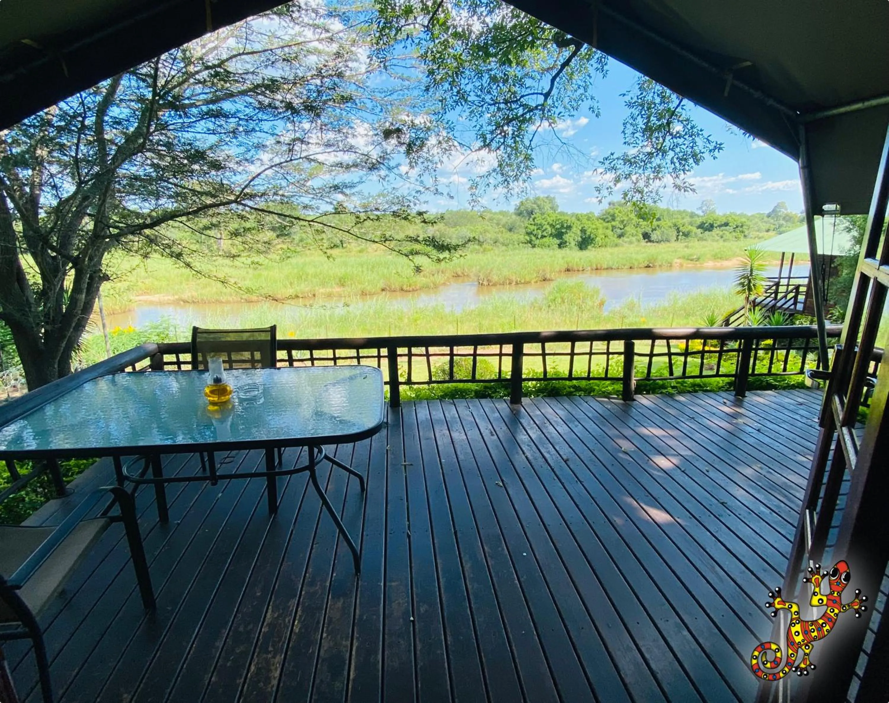 View (from property/room) in Sabie River Bush Lodge