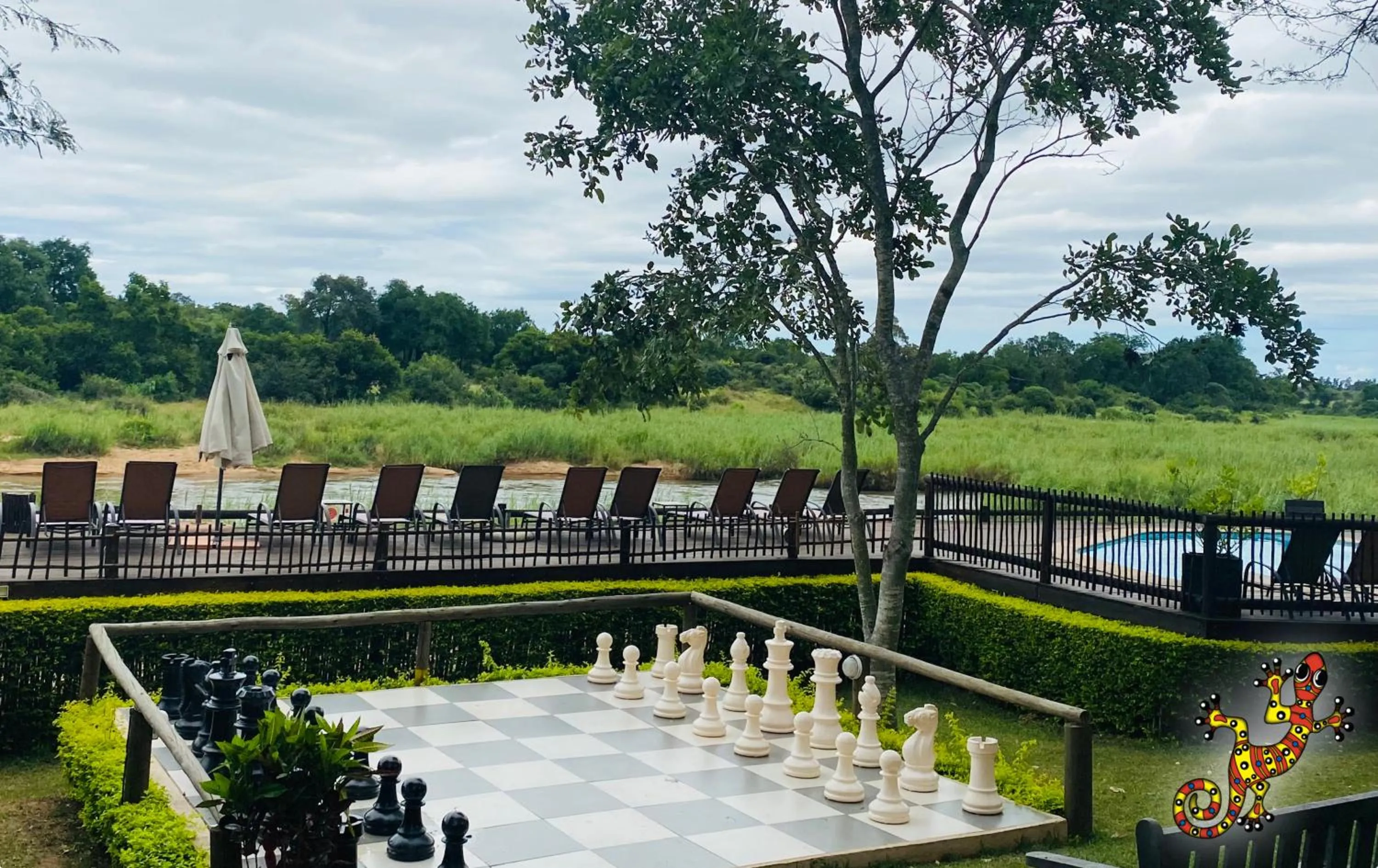 Activities in Sabie River Bush Lodge