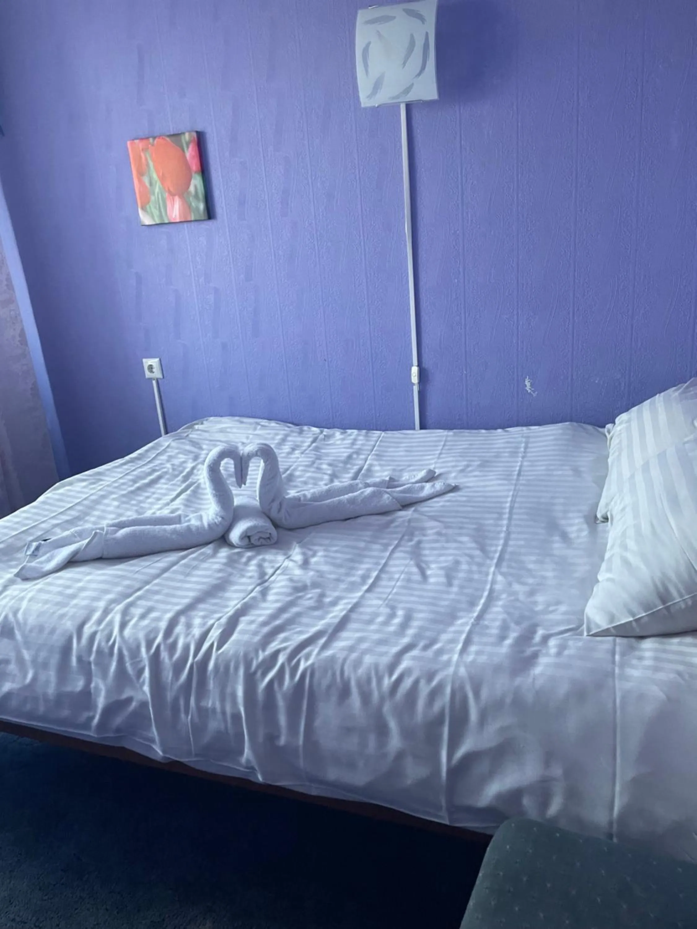 Bed in Riverside Motel Jelgava