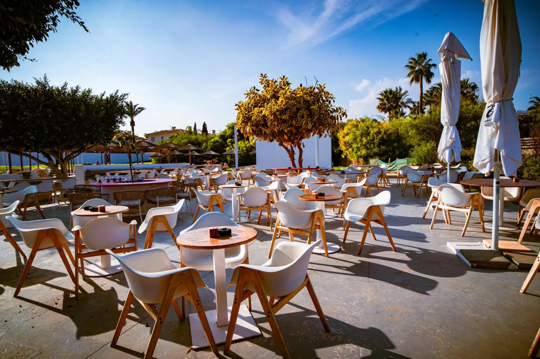 Lounge or bar in Malama Beach Holiday Village