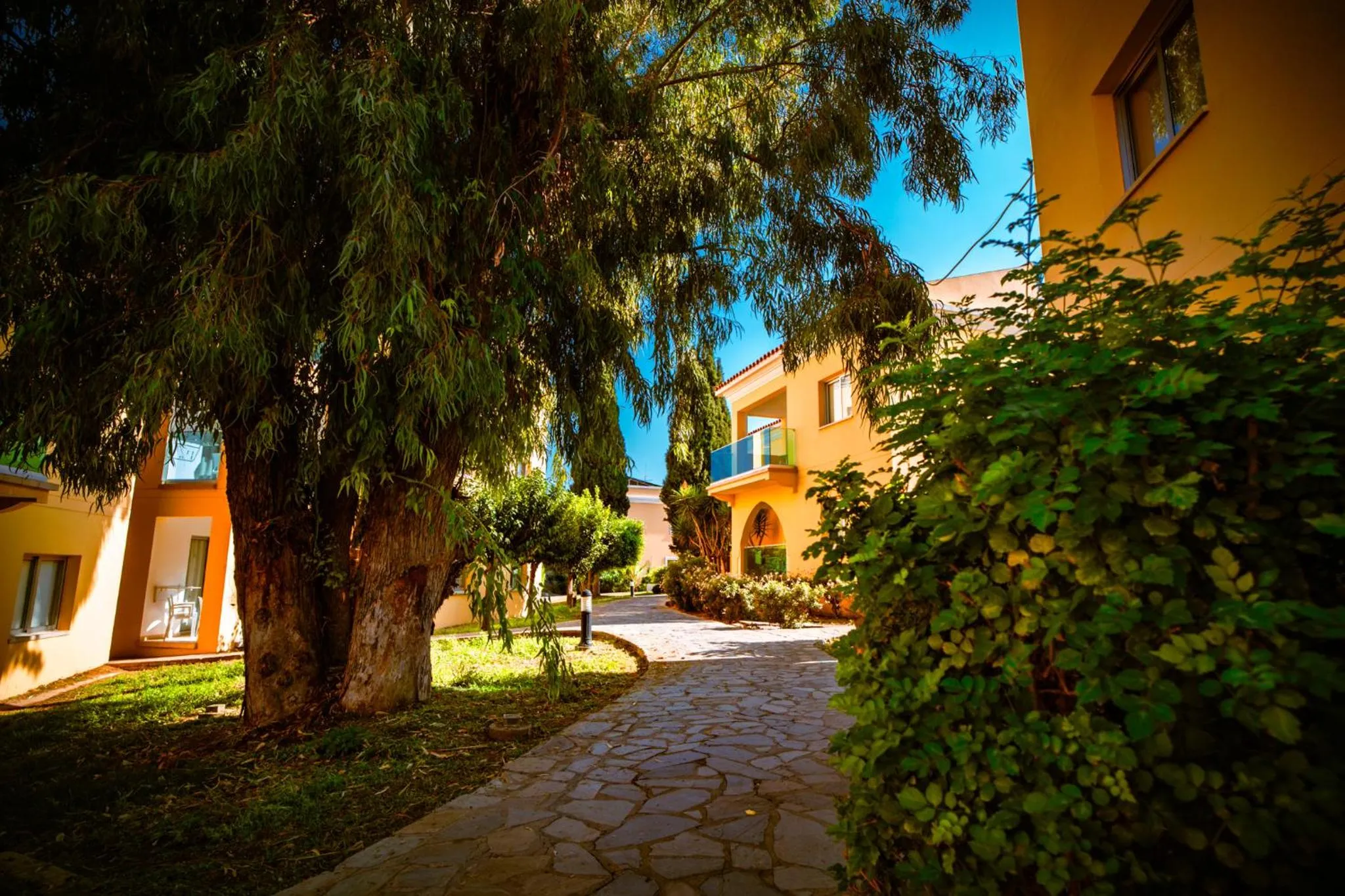 Garden in Malama Beach Holiday Village