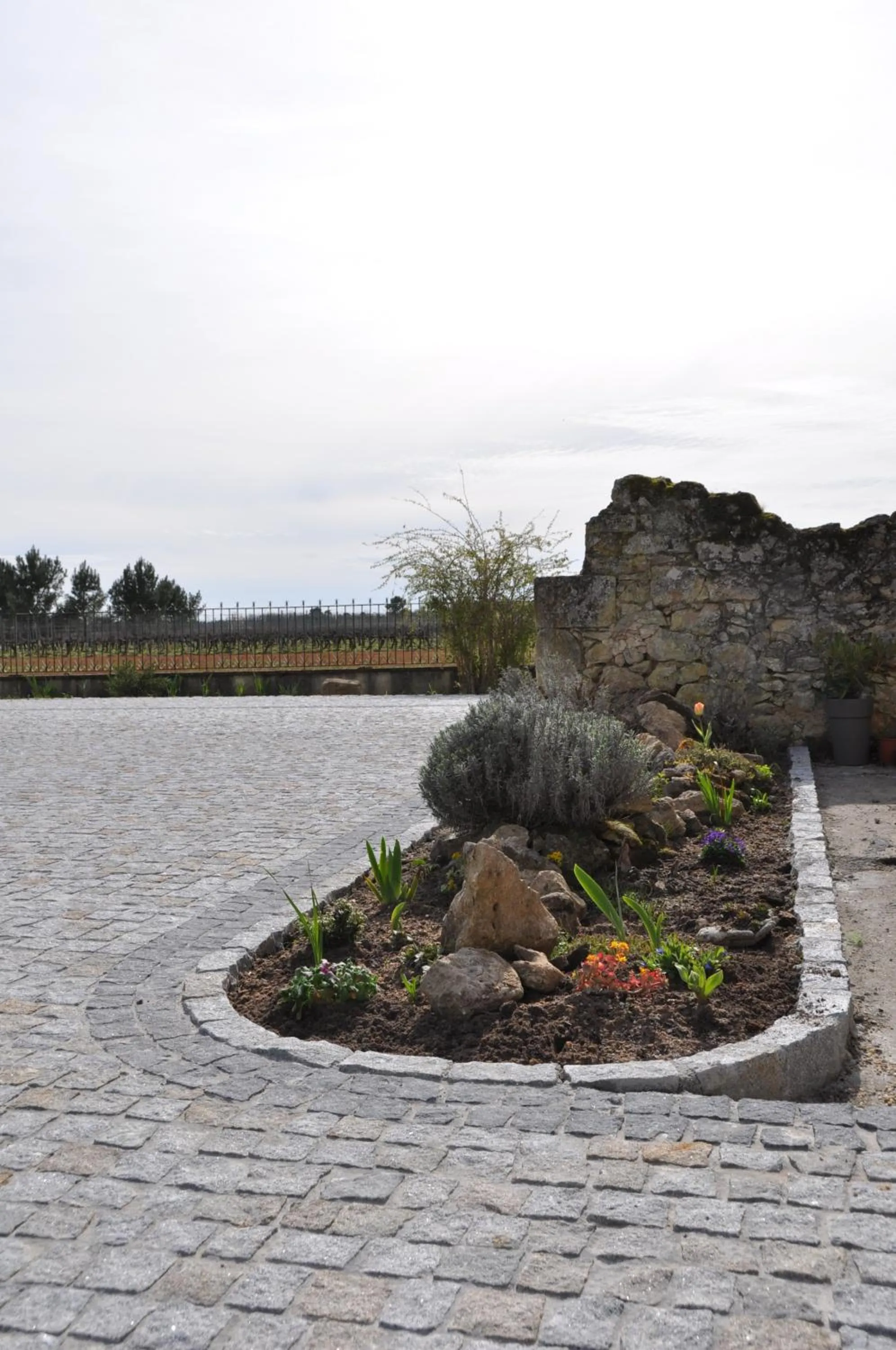 Chambre d'hôtes Sauternais