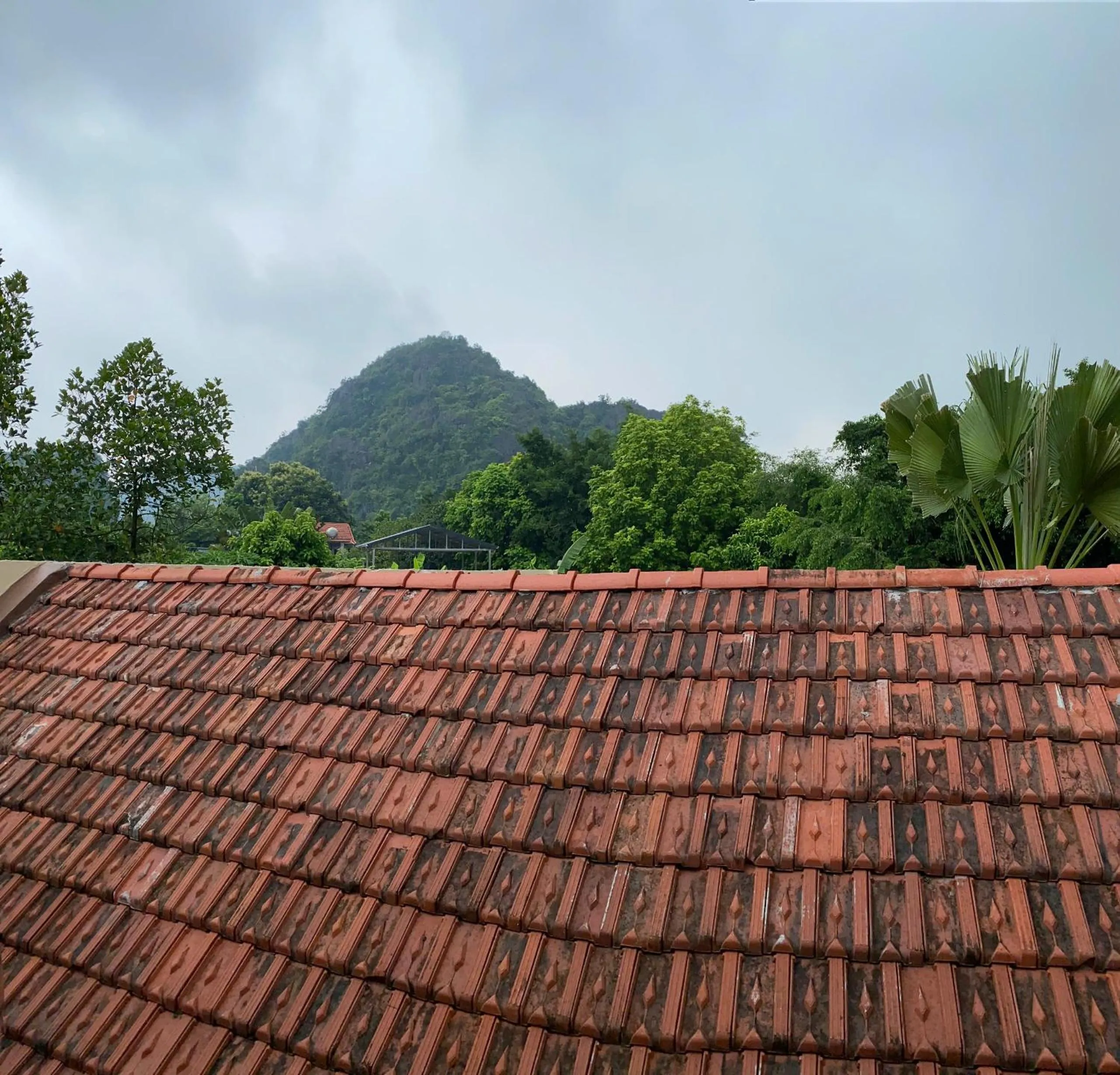 Mountain view in Tam Coc Westlake Homestay
