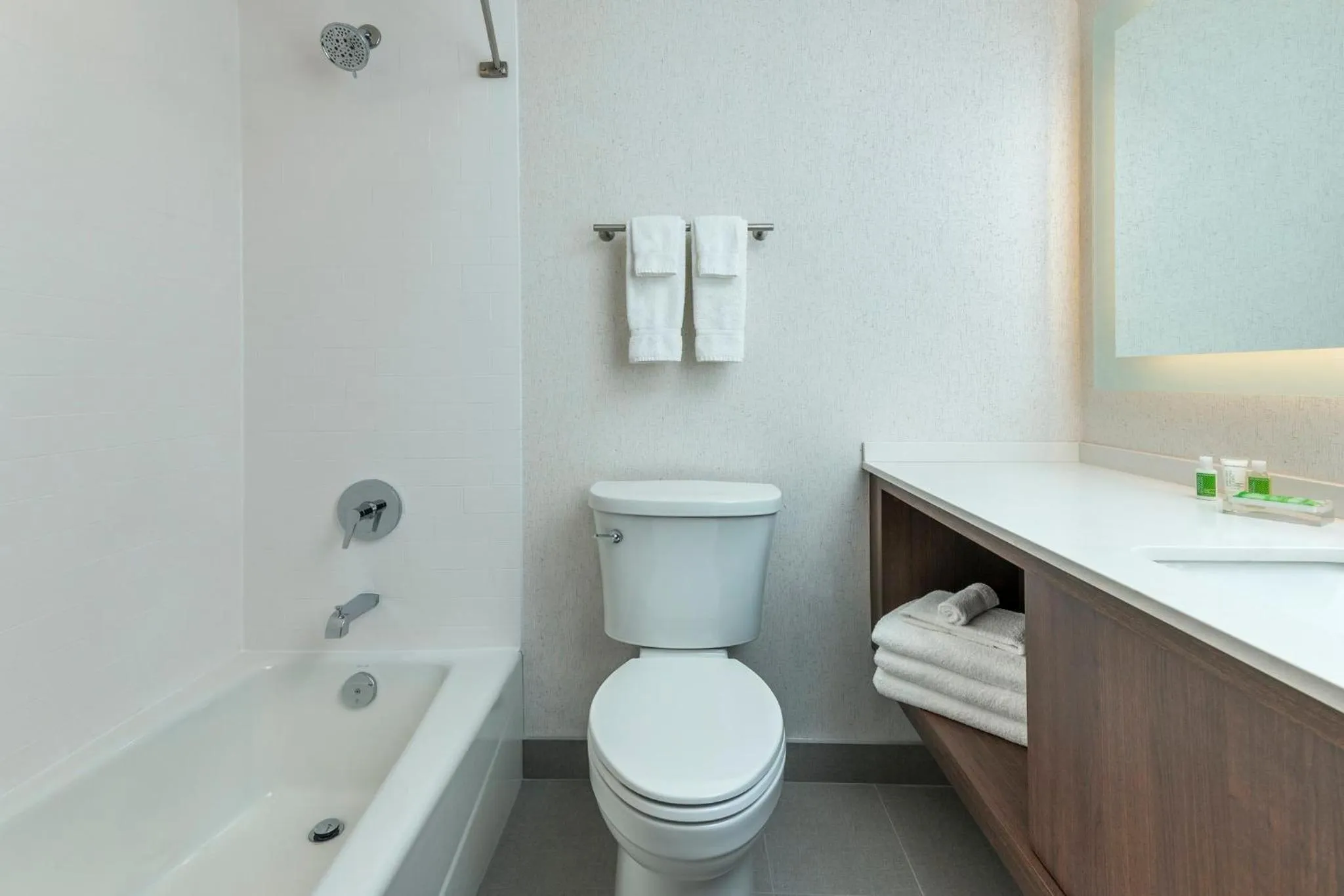 Bathroom in Holiday Inn Kingston - Waterfront by IHG