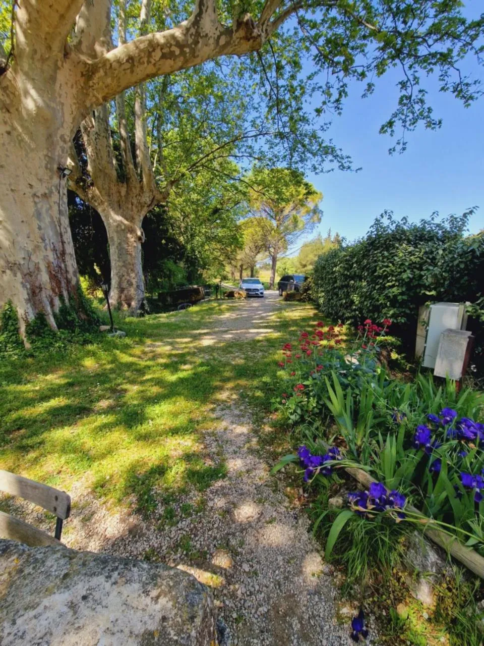 Ancien Mas Du Moulin