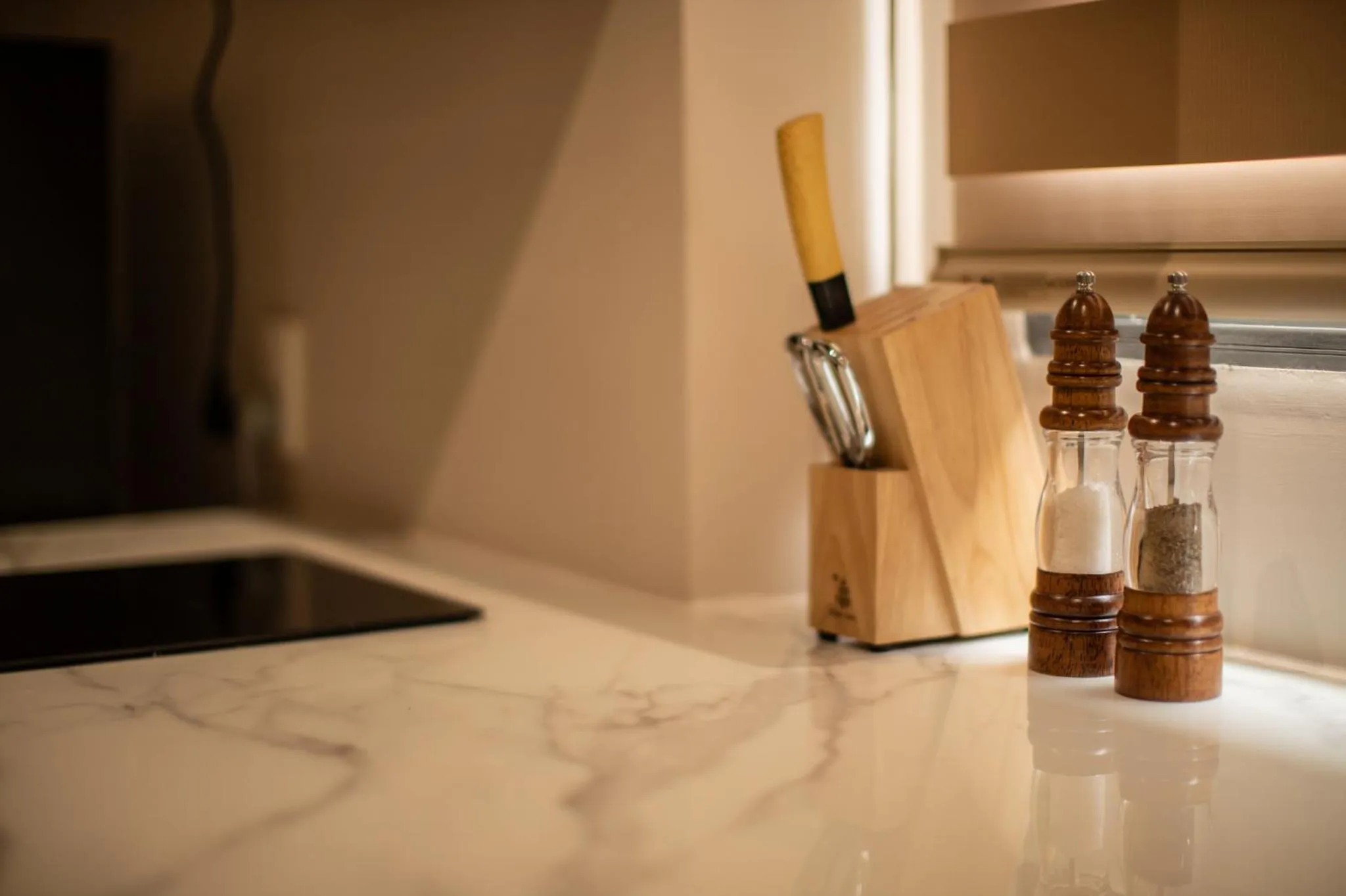 Kitchen or kitchenette in Thanh Mai Hotel