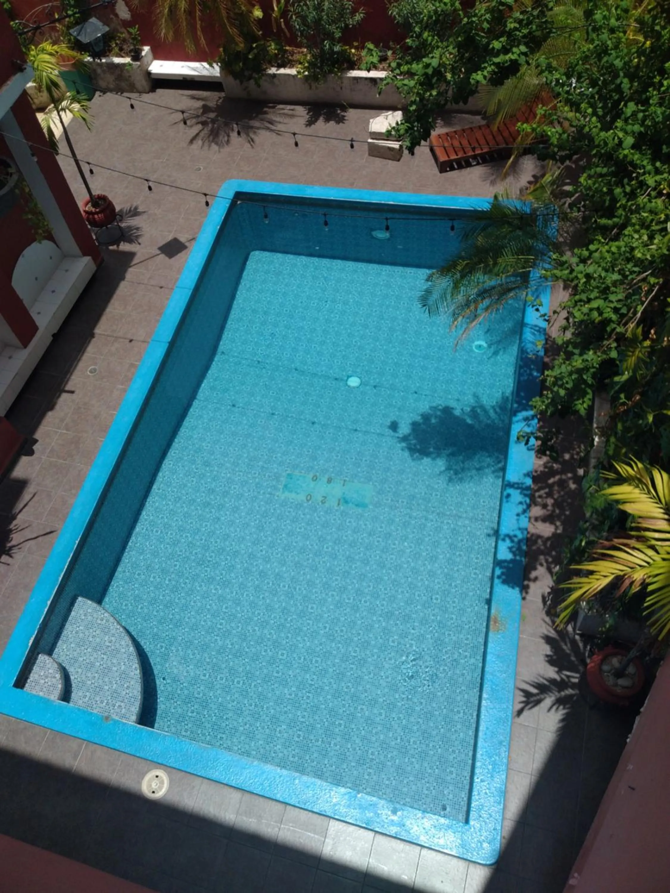 Swimming pool in Hotel Reforma