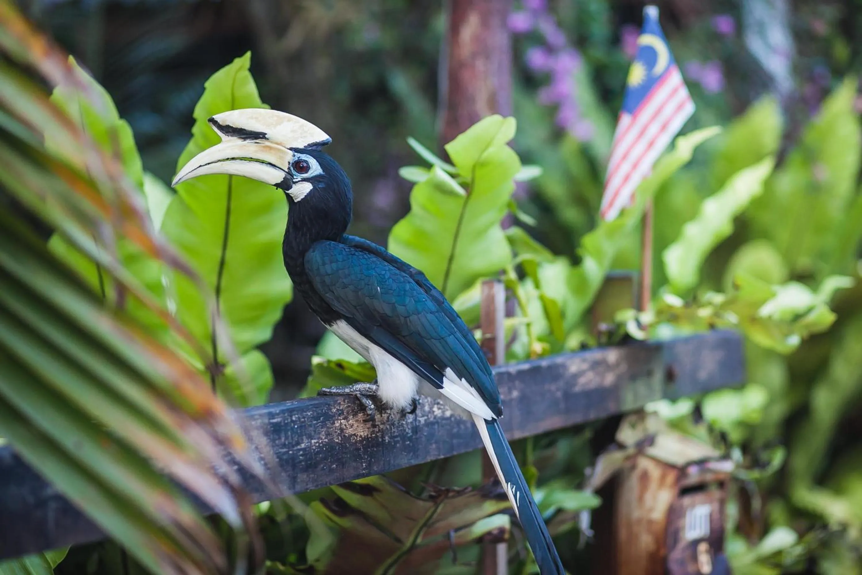 Anjungan Beach Resort