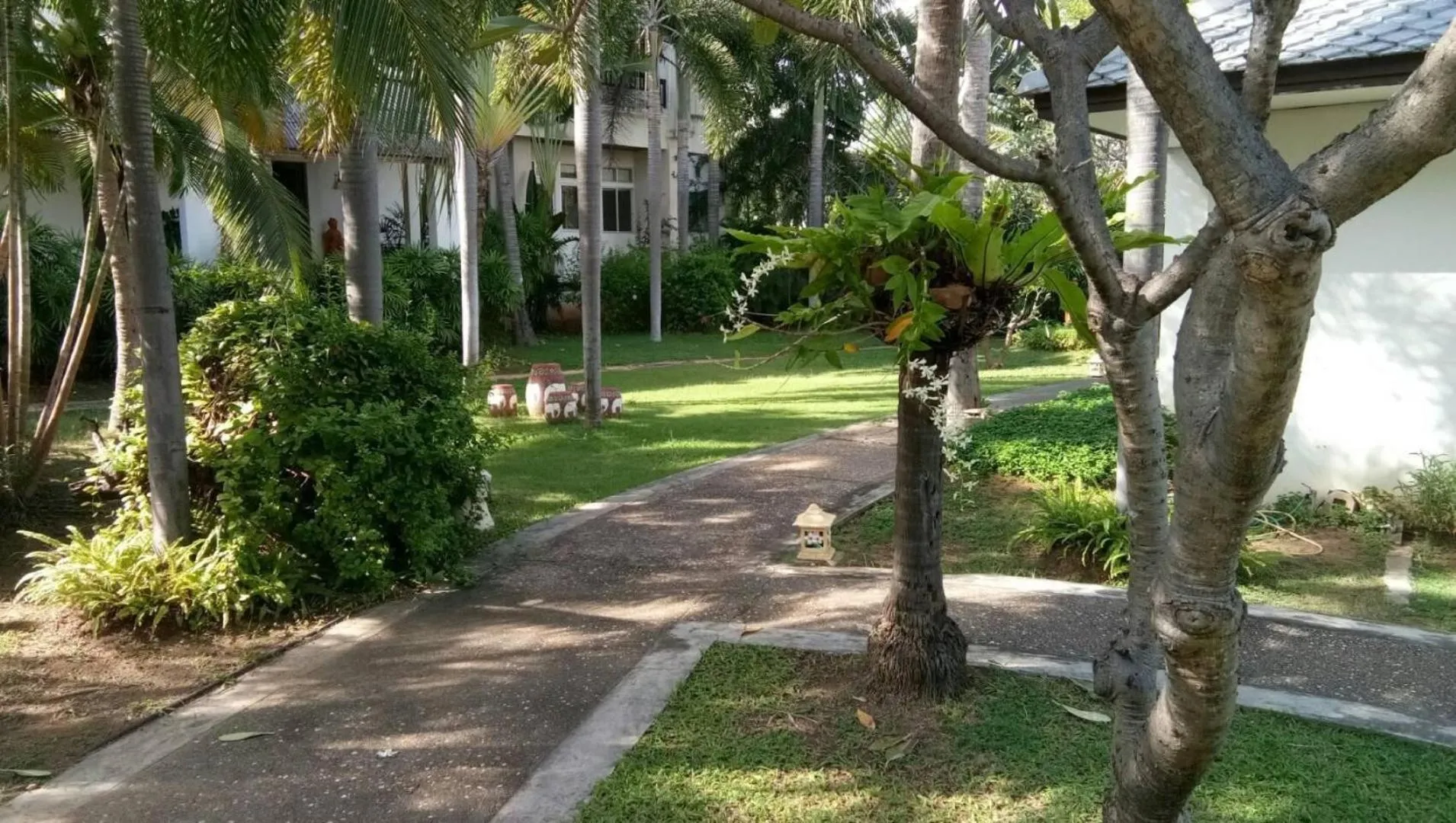 Property building in Golden Pine Beach Resort