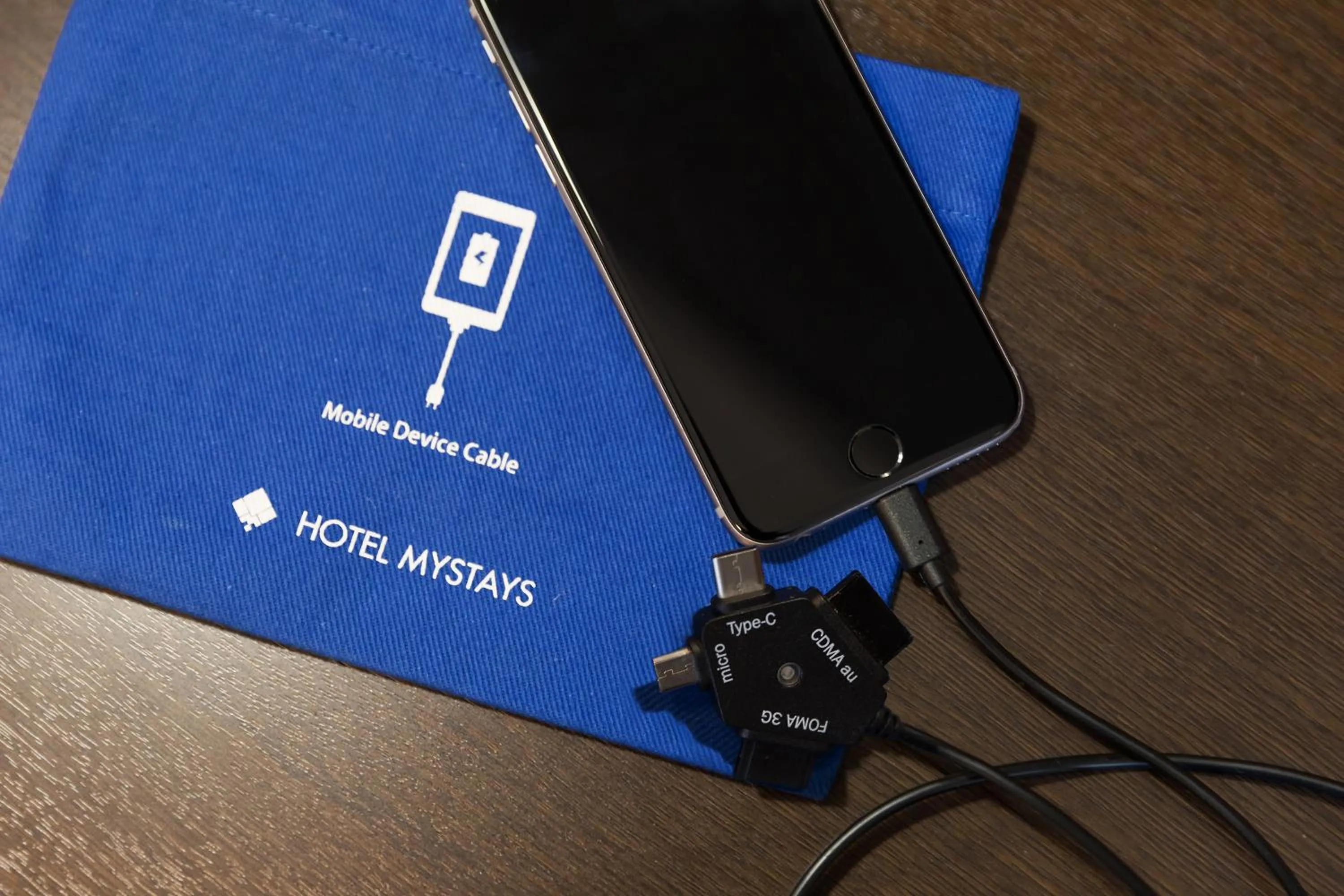 Other in HOTEL MYSTAYS Kyoto Shijo