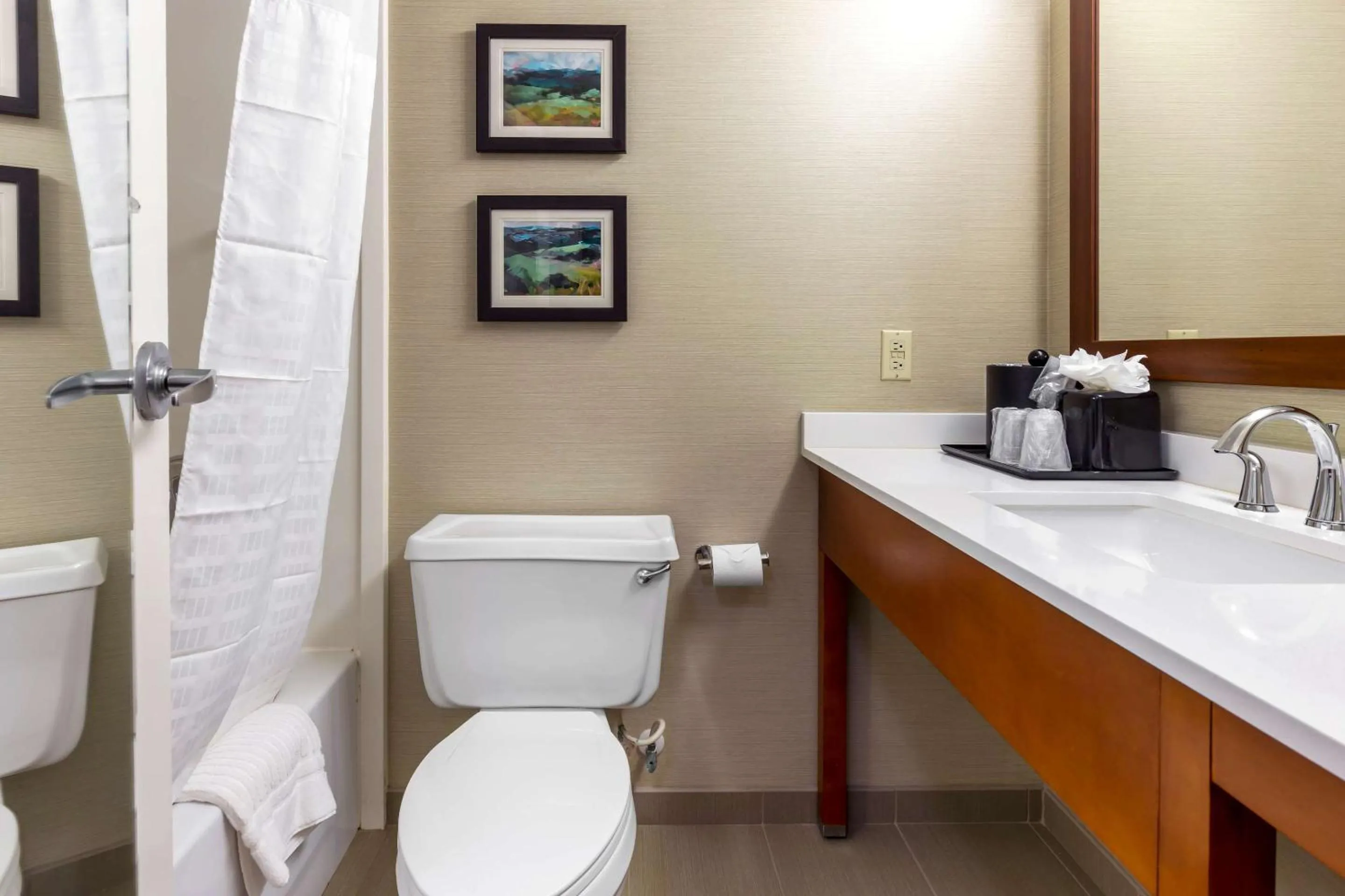 Bedroom in Comfort Inn University Durham - Chapel Hill