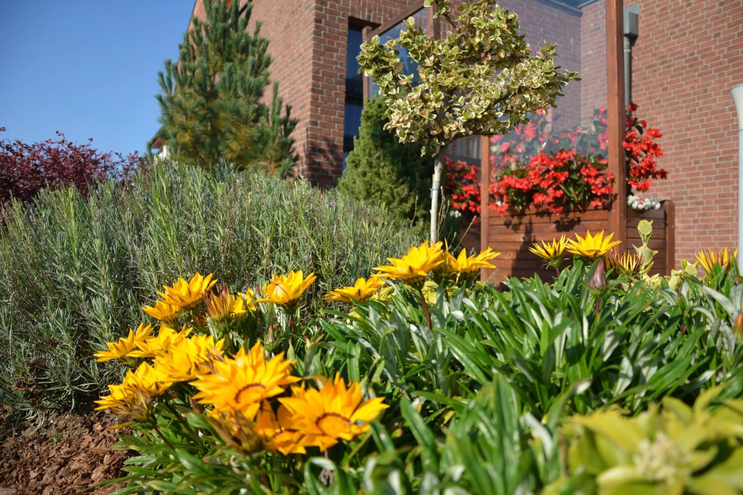 Garden in Bazuny Hotel&Spa