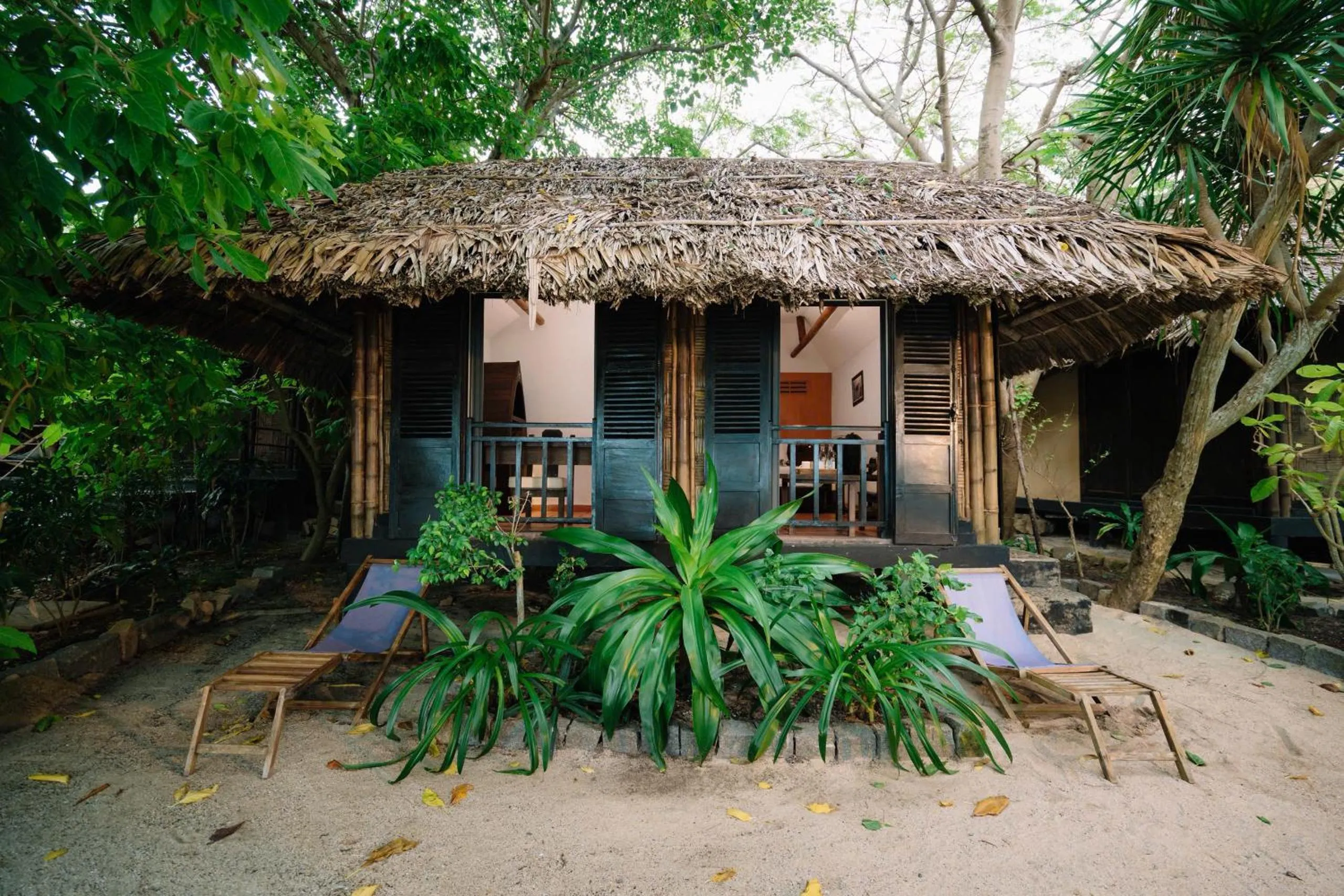 Day in Whale Island Resort