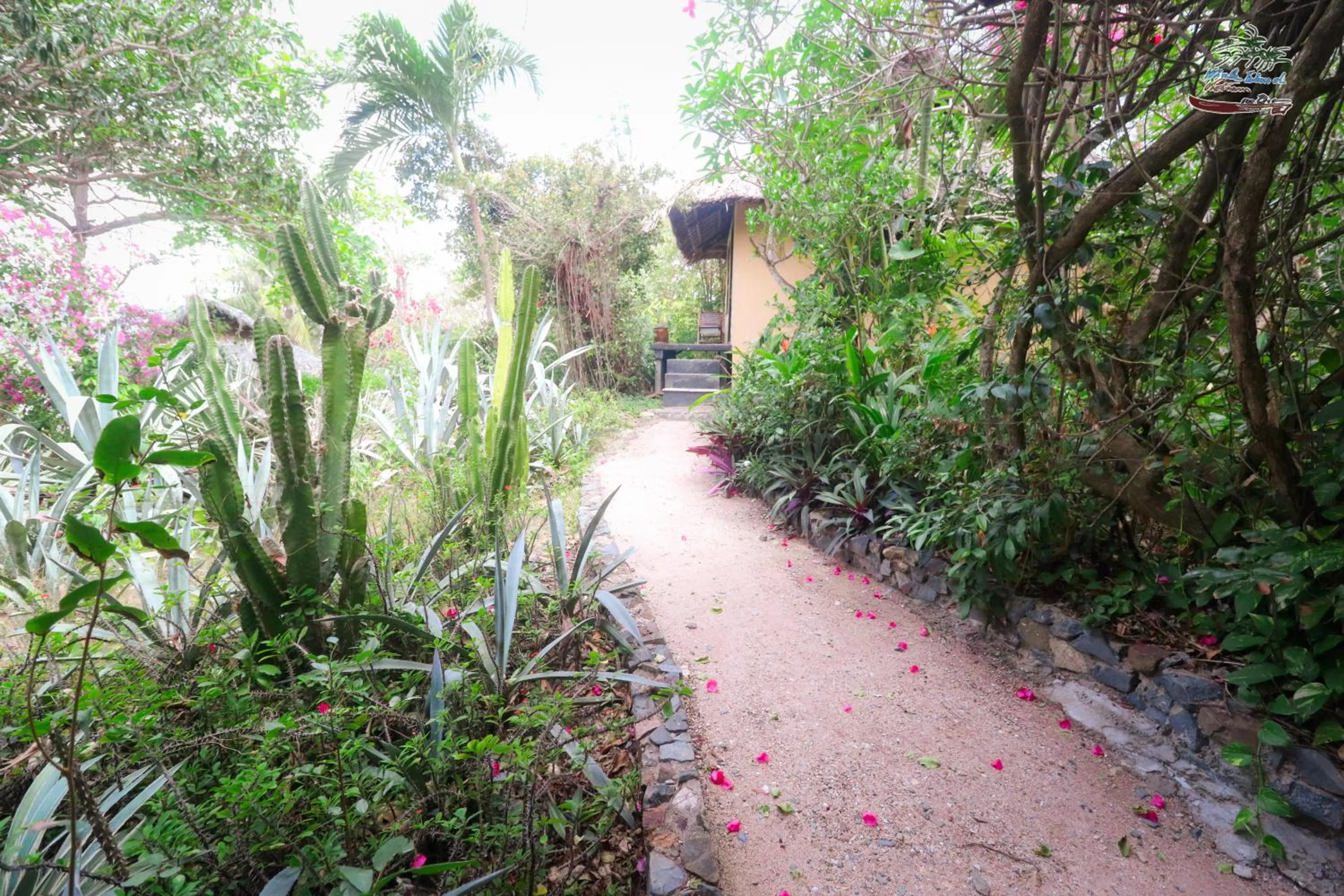 Day in Whale Island Resort