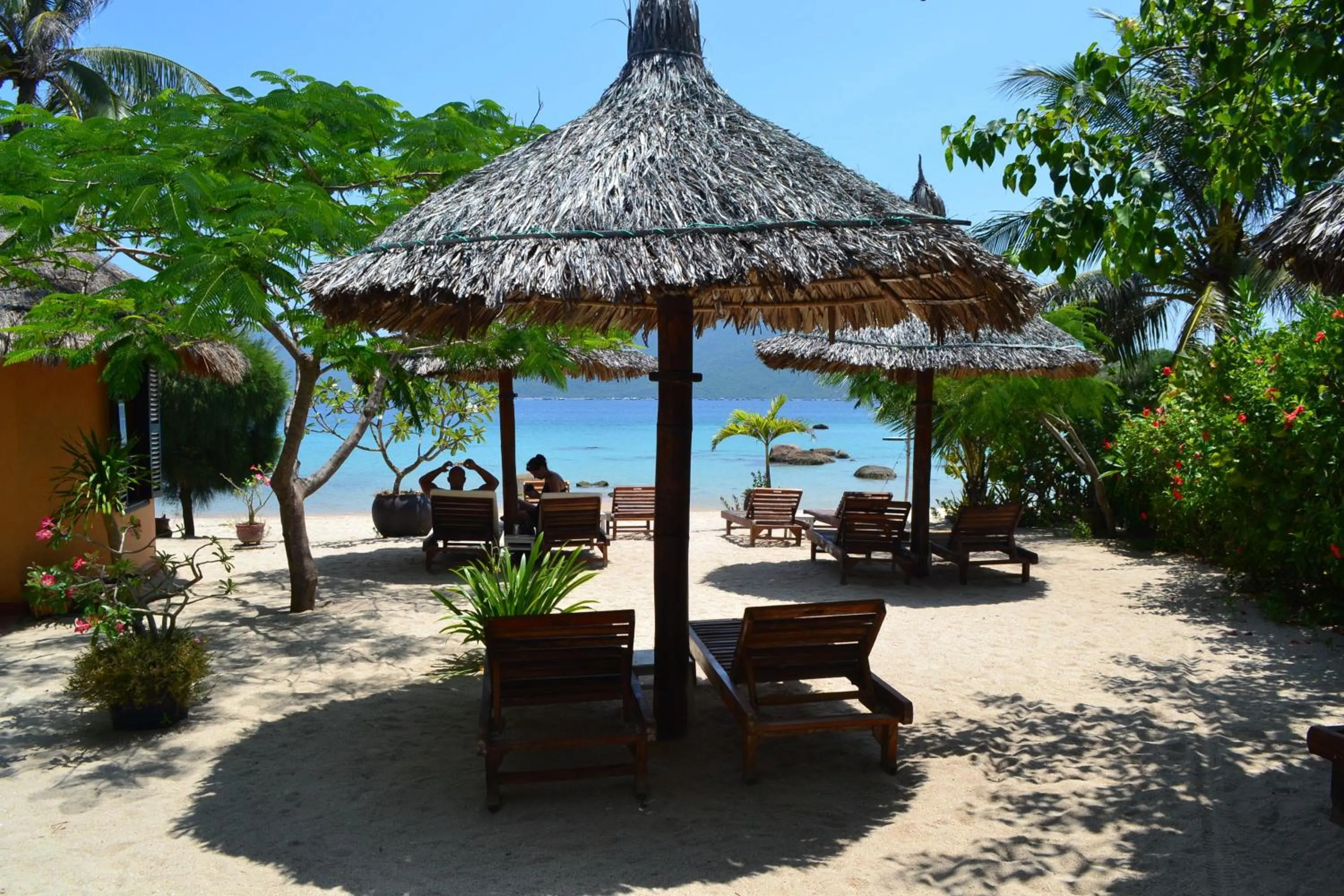 Beach in Whale Island Resort
