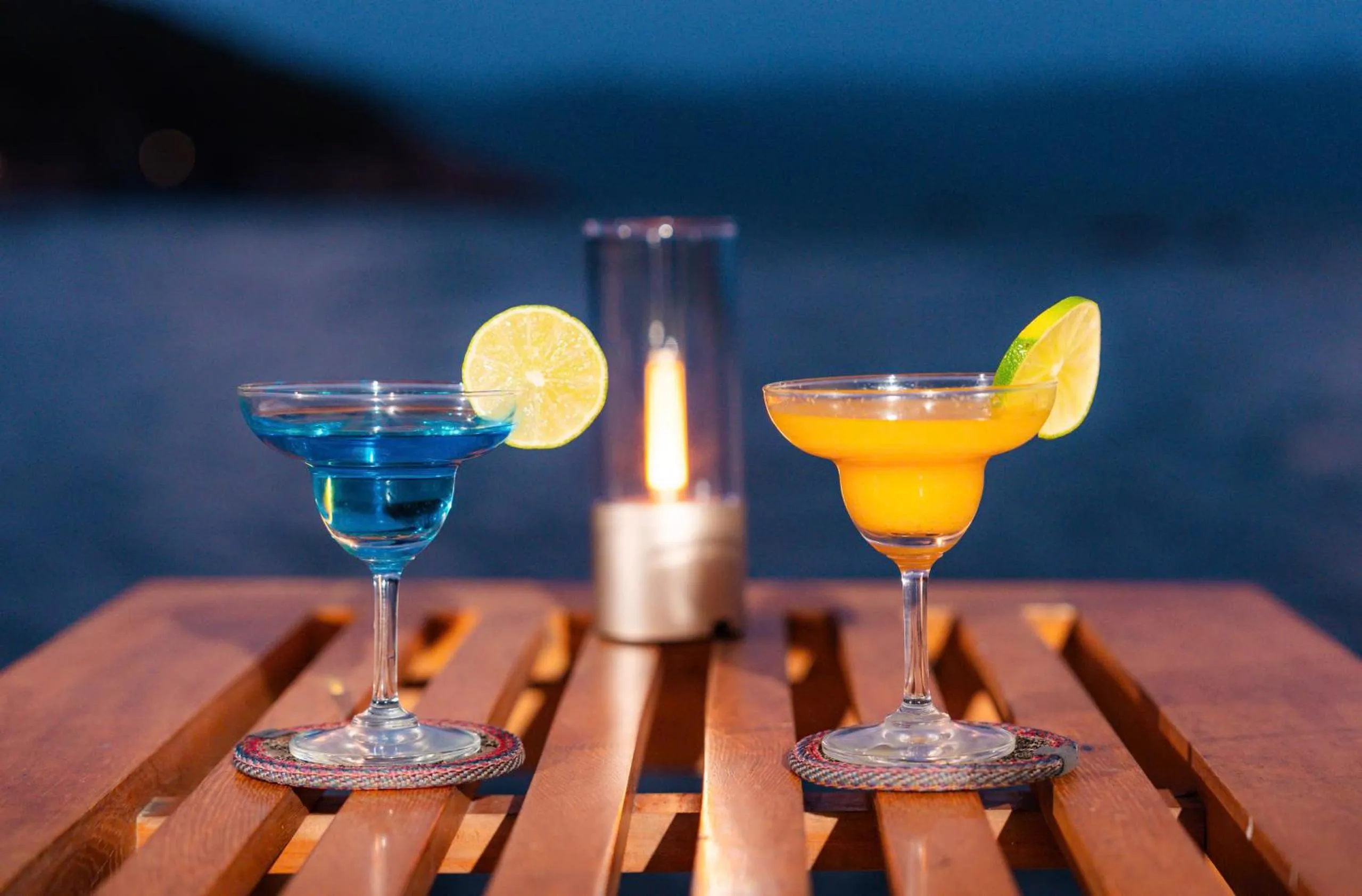 Lounge or bar in Whale Island Resort