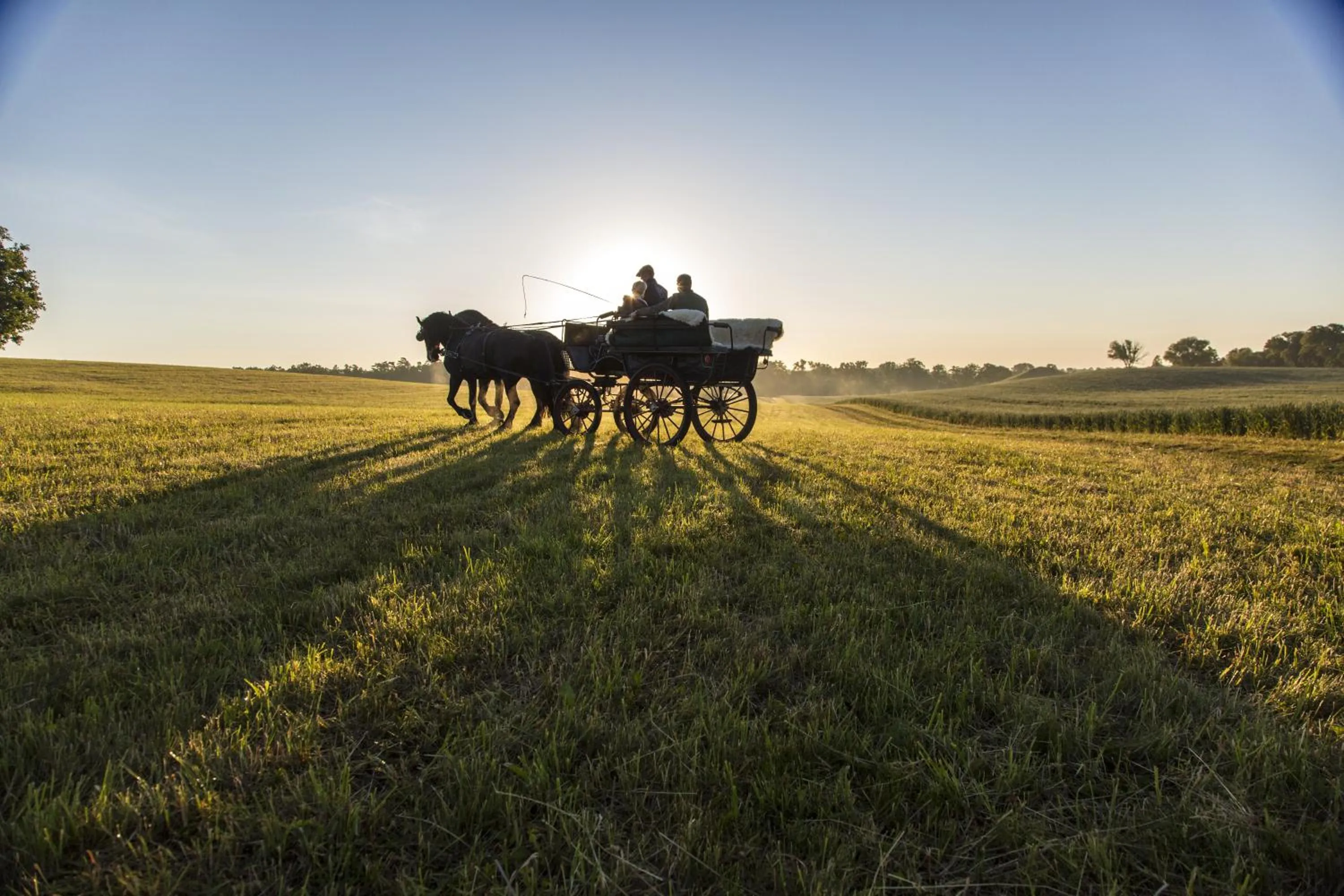 Natural landscape in Pałac Galiny