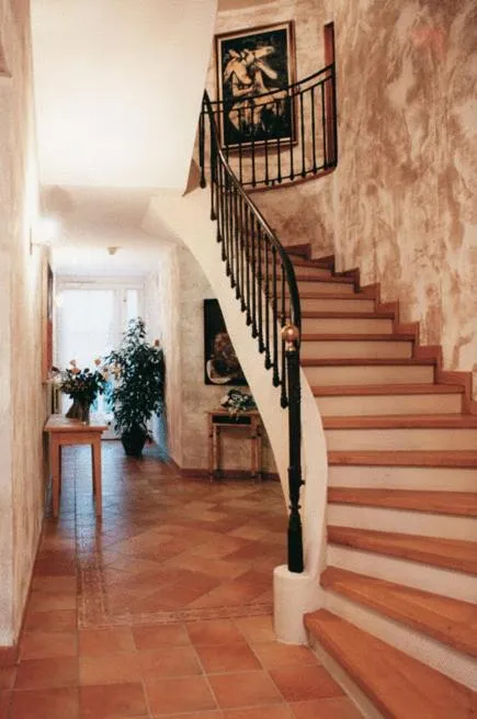 Area and facilities in Hotel Pinocchio