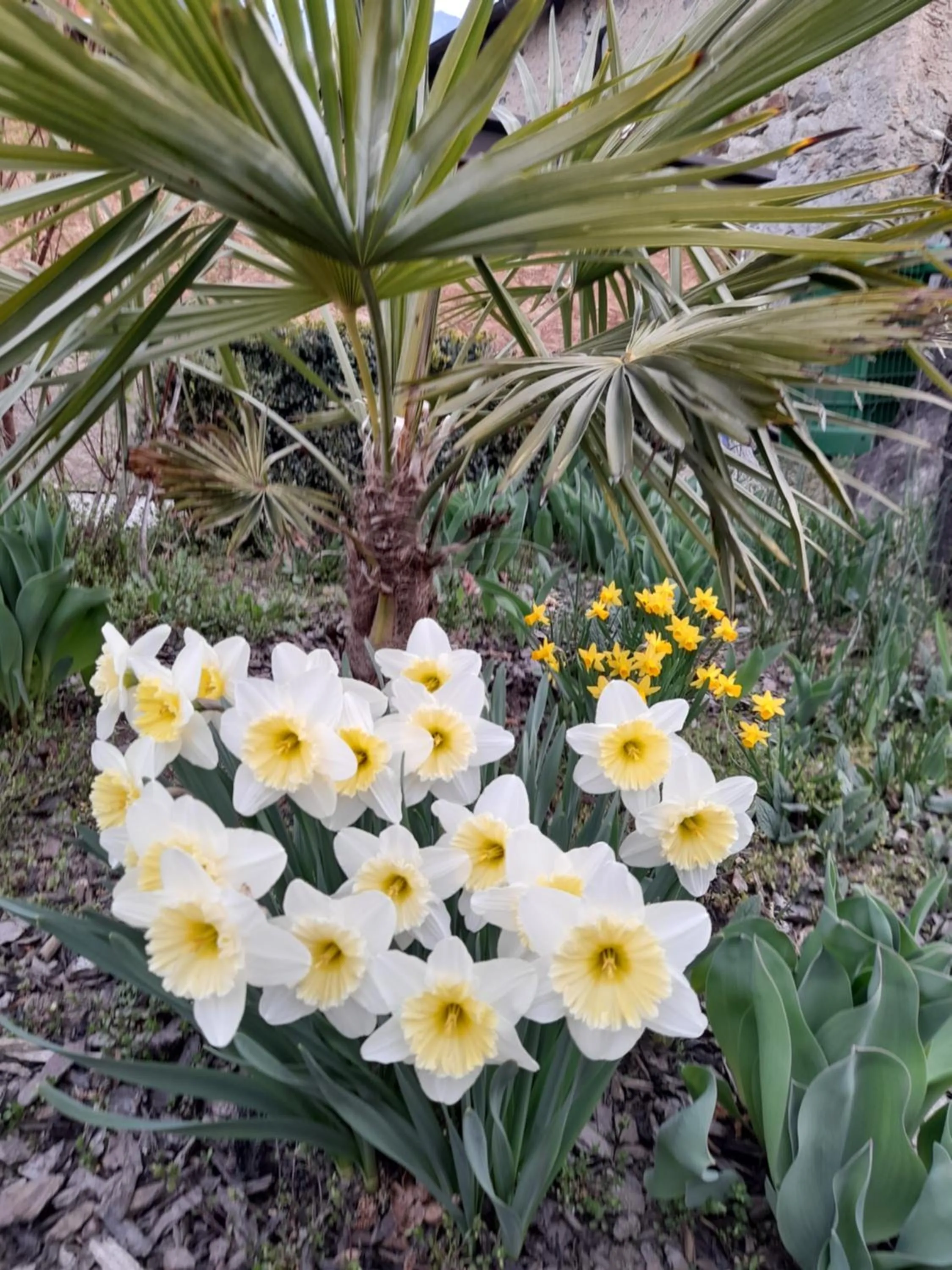 Garden in Residence Lenzenau