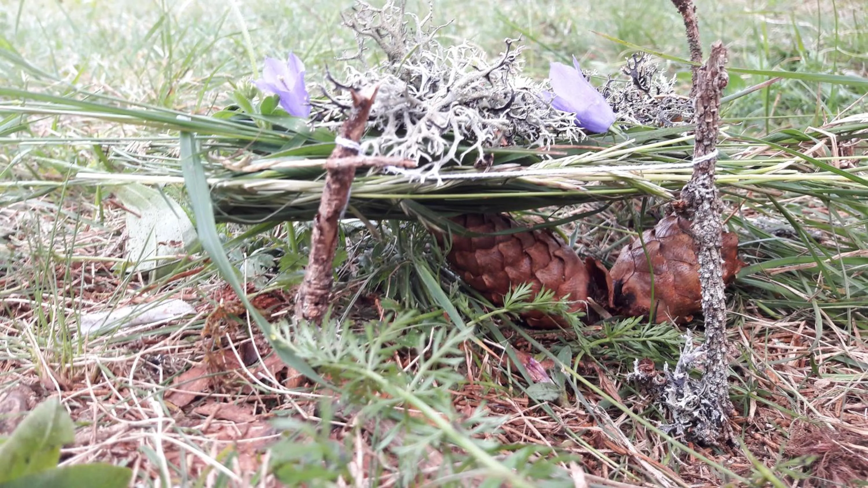 Summer in Residence Lenzenau