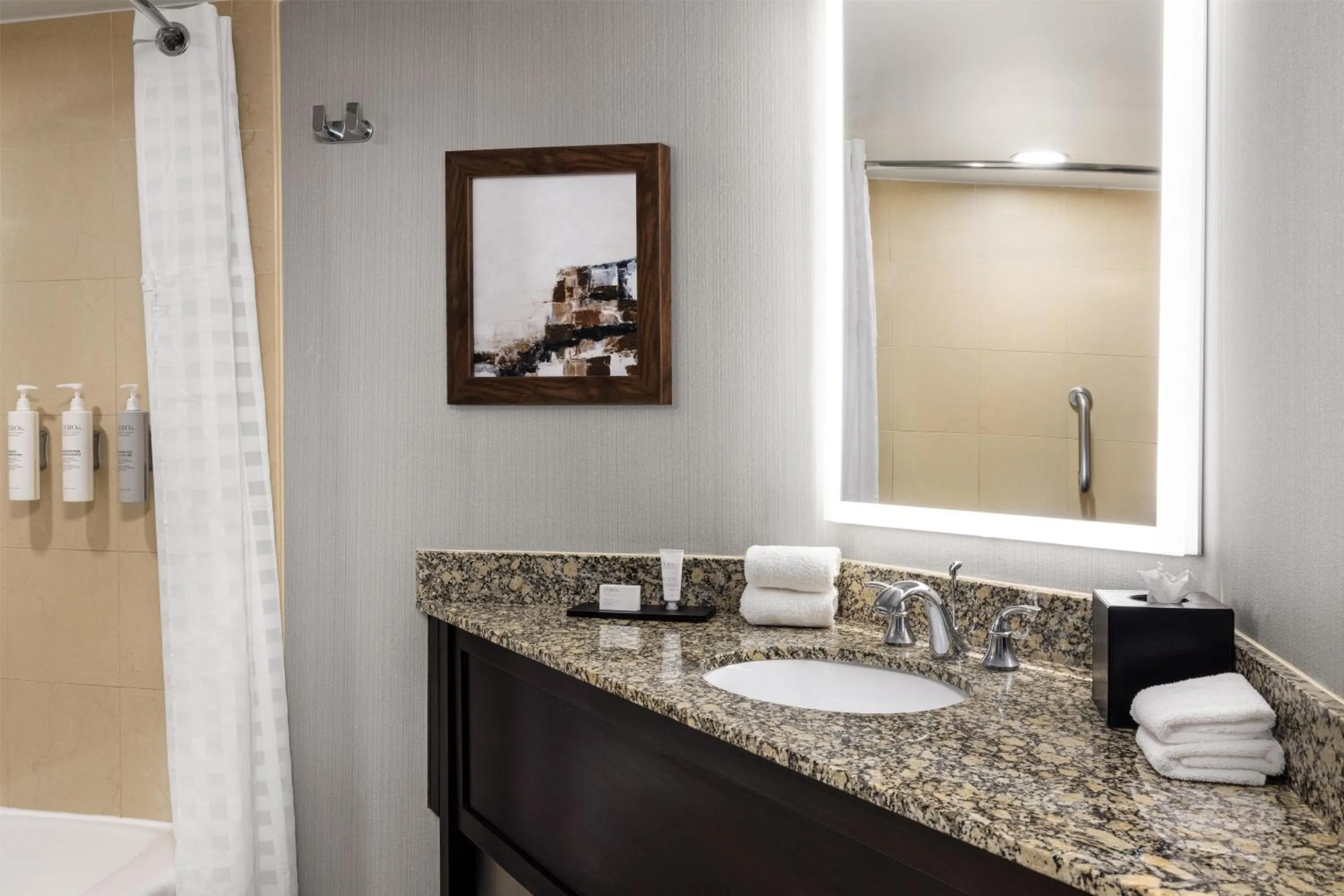 Bathroom in Embassy Suites Birmingham