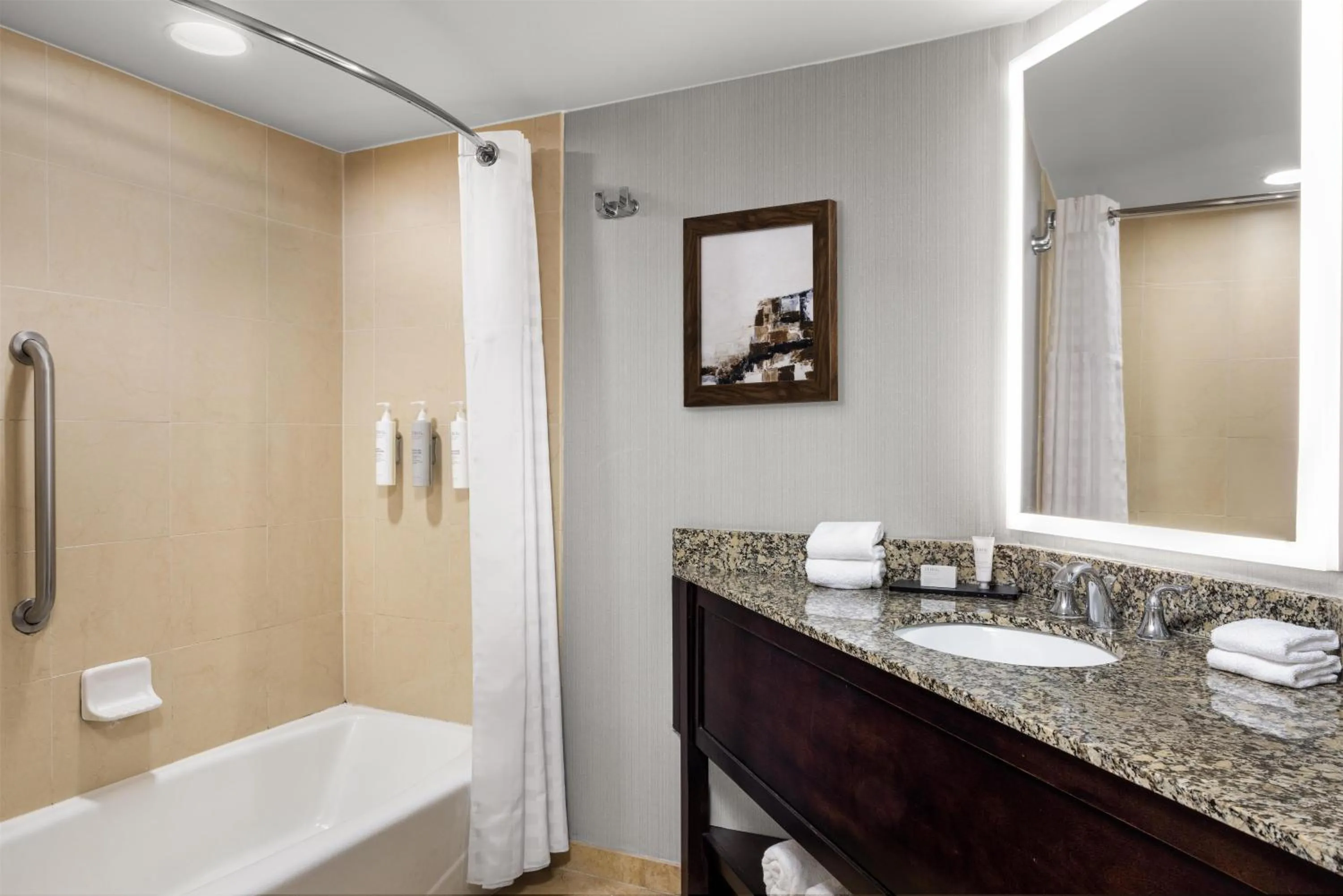 Bathroom in Embassy Suites Birmingham