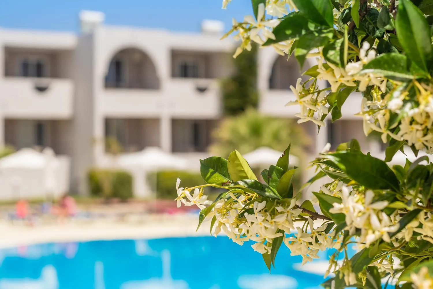 Property building in Lardos Bay Hotel